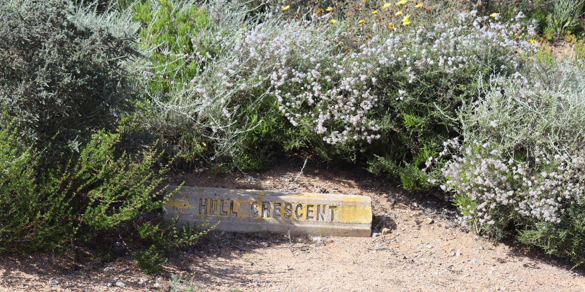 Image 4 of 6