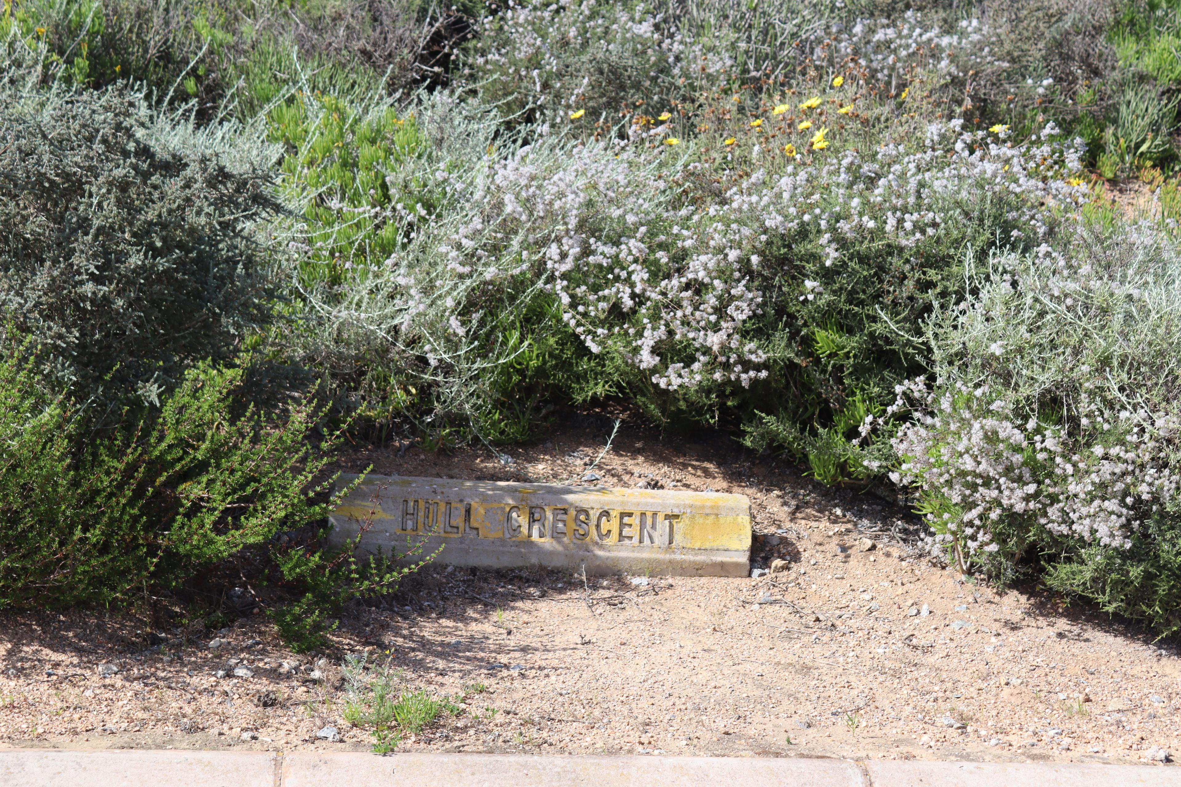 Image 4 of 6