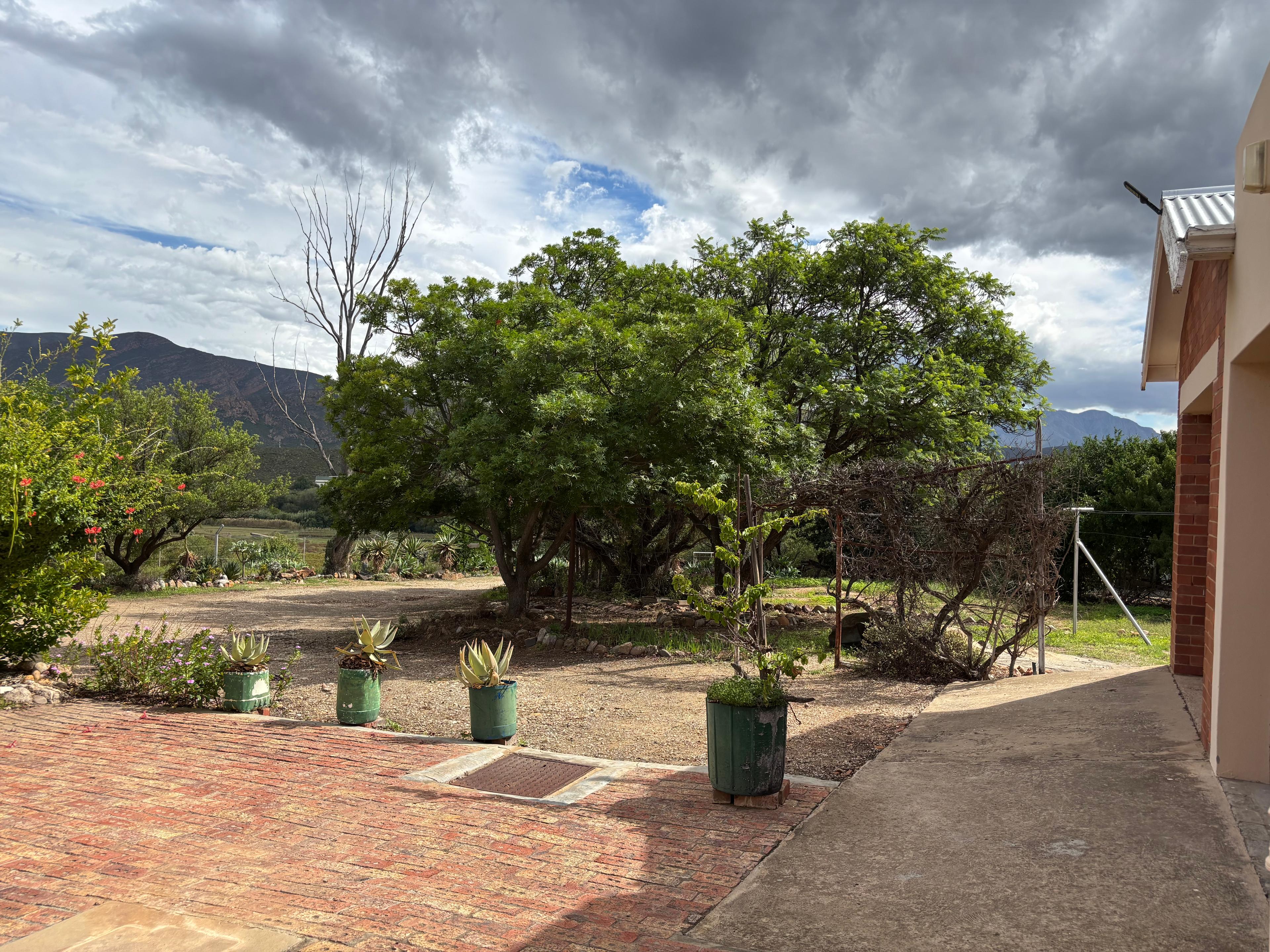 Image 35