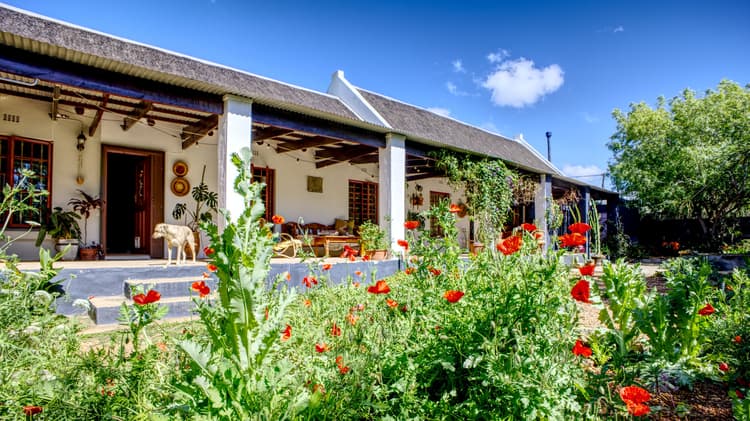Main property image