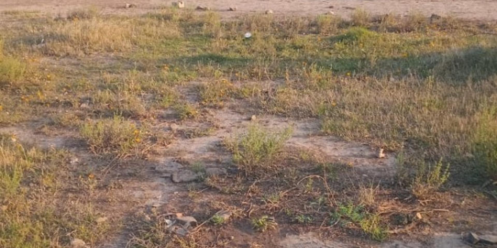 Image 3 of 6