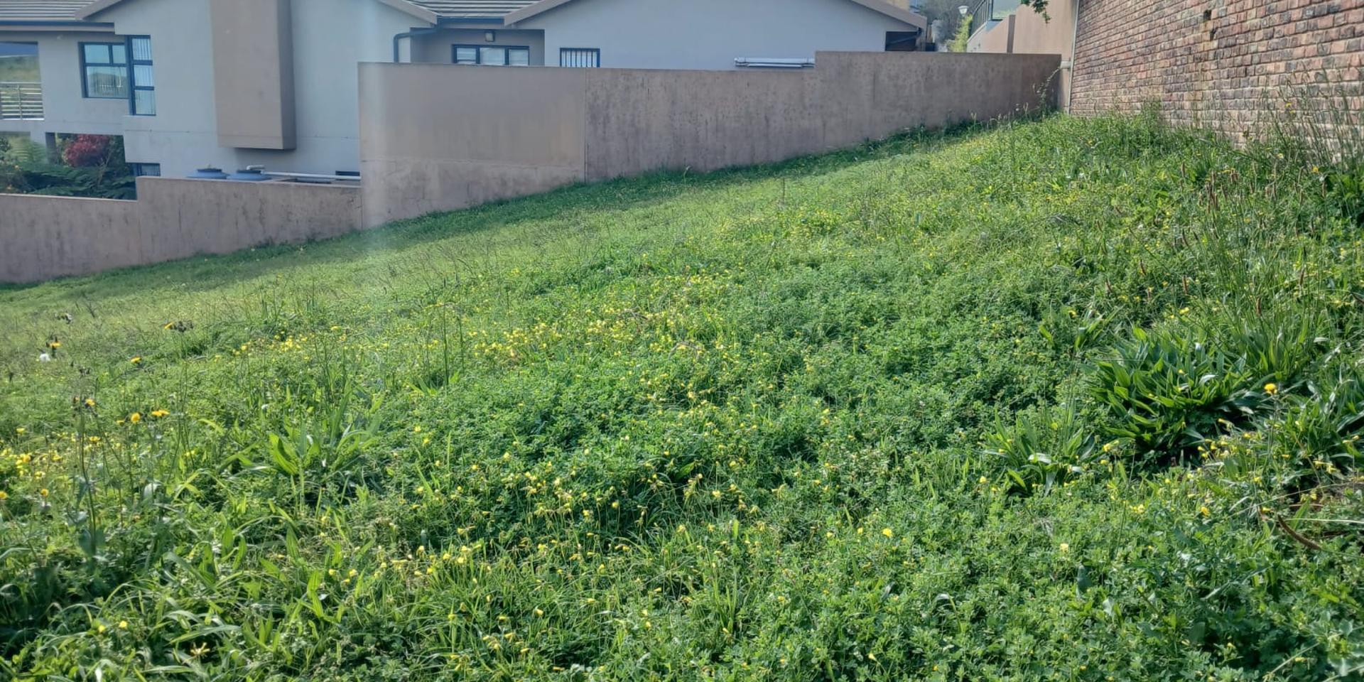Image 4 of 6