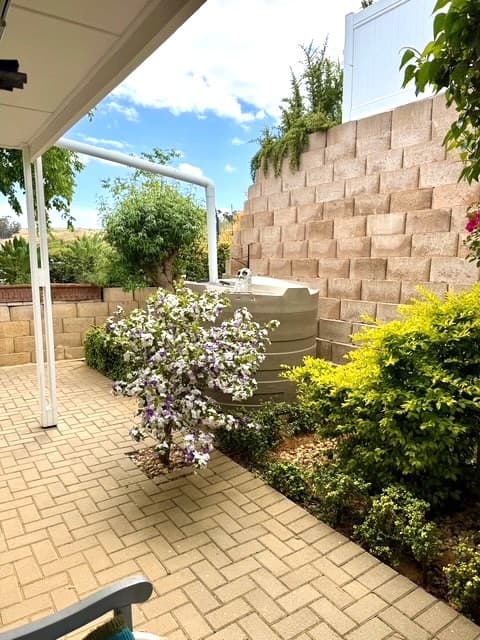 Image 20