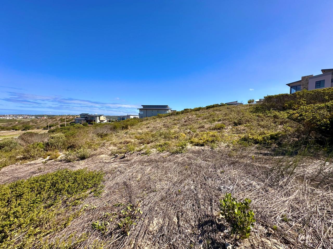 Image 5 of 6