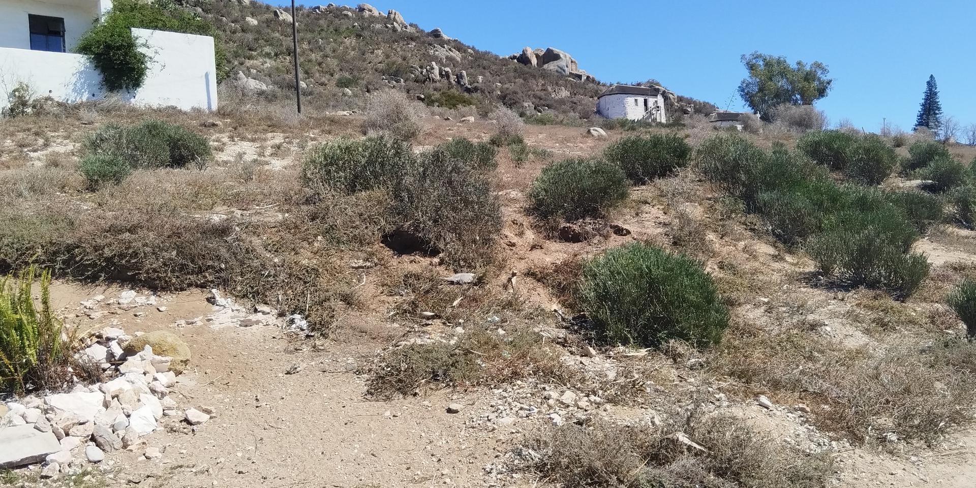 Image 4 of 6