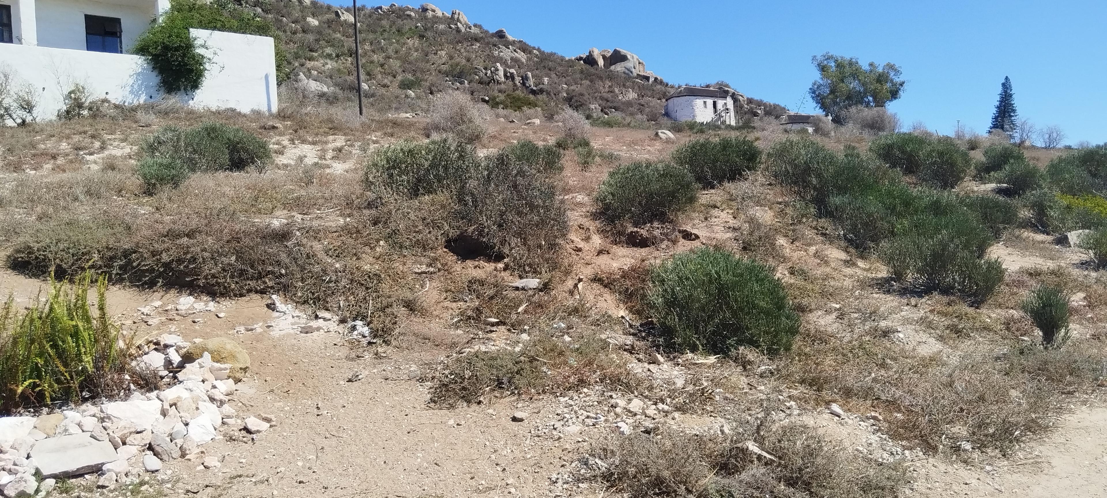 Image 4 of 6