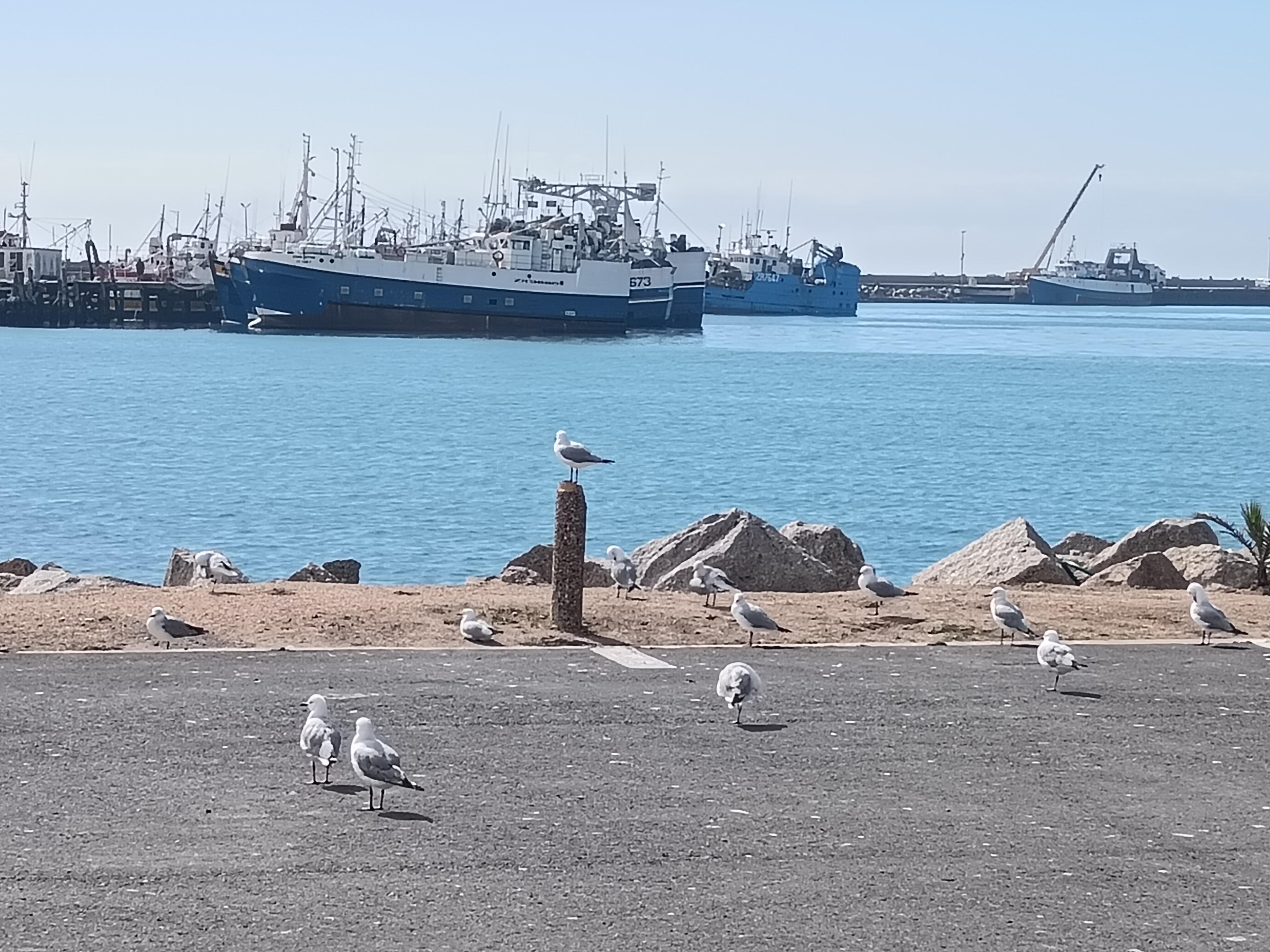 Image 4 of 6