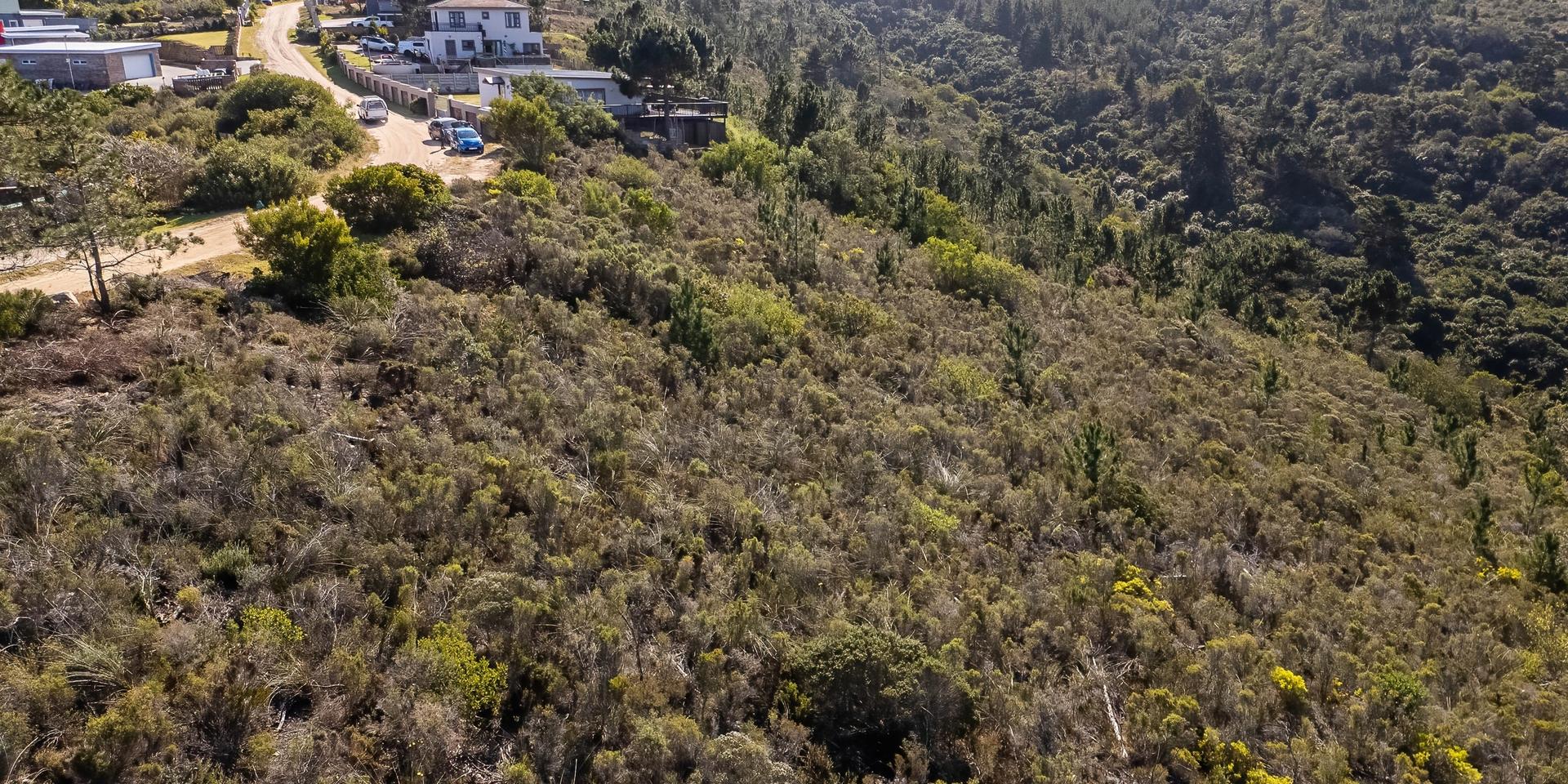 Image 5 of 6