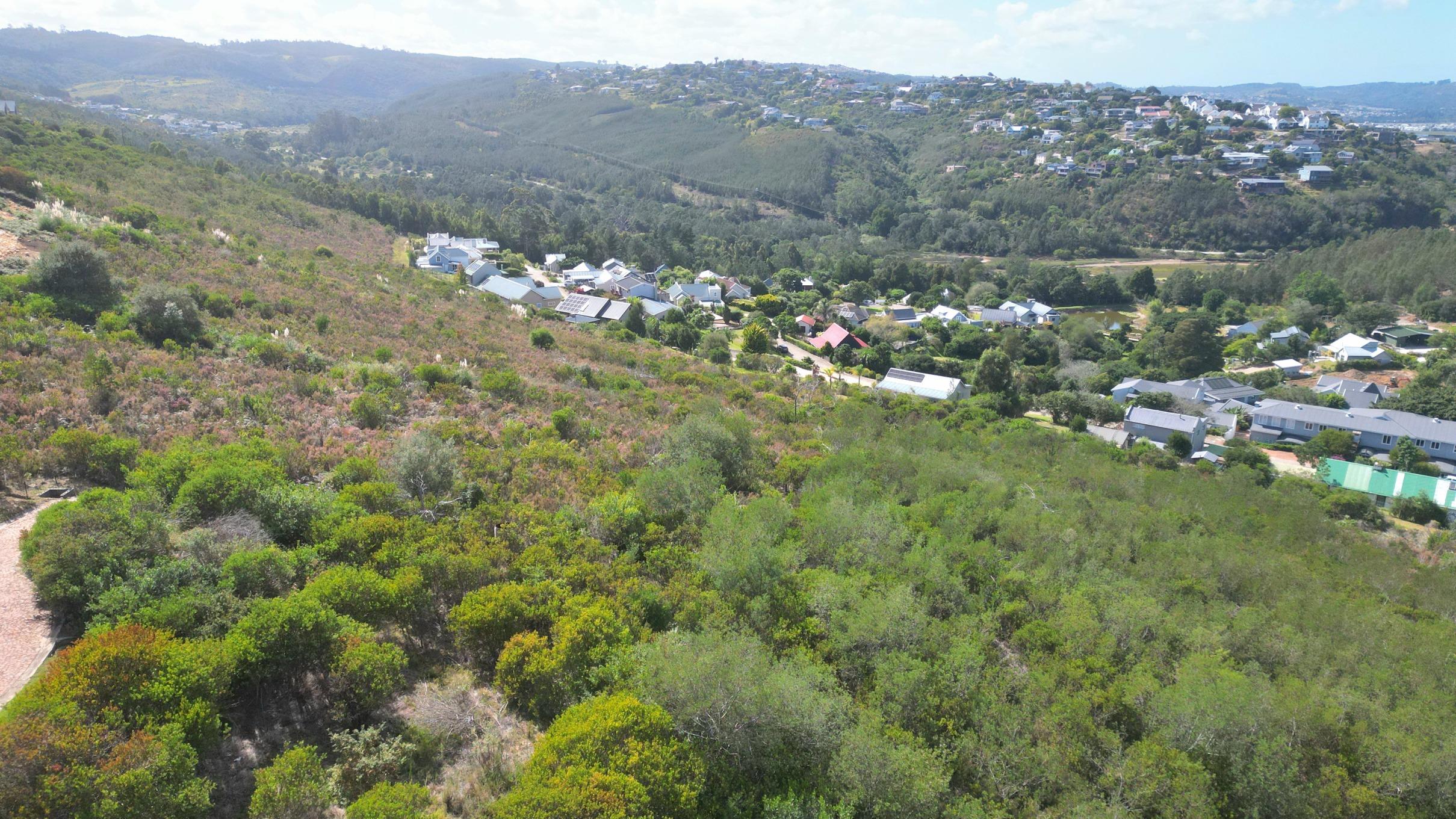 Image 4 of 6