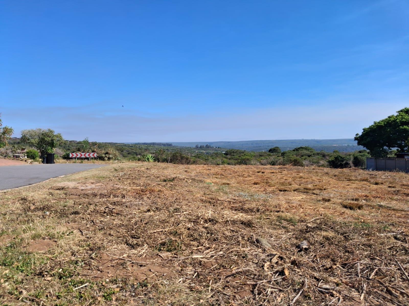 Image 10