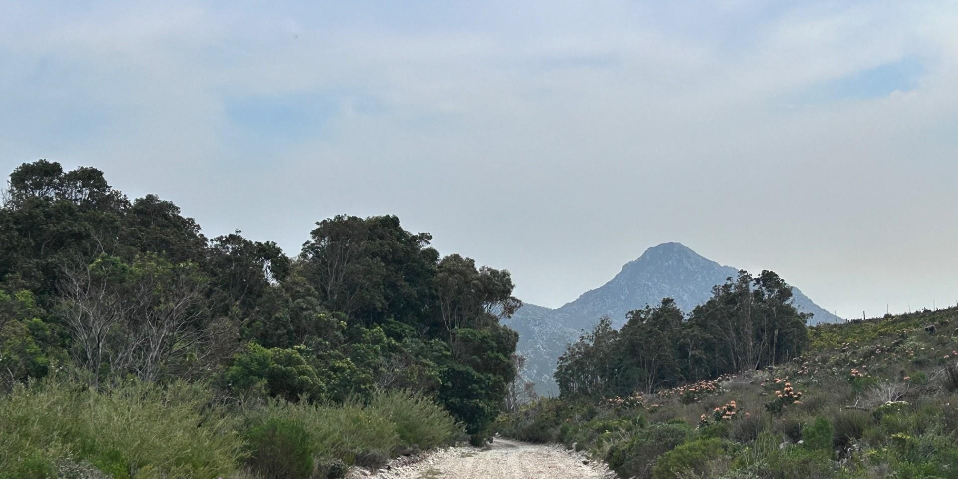 Image 5 of 6