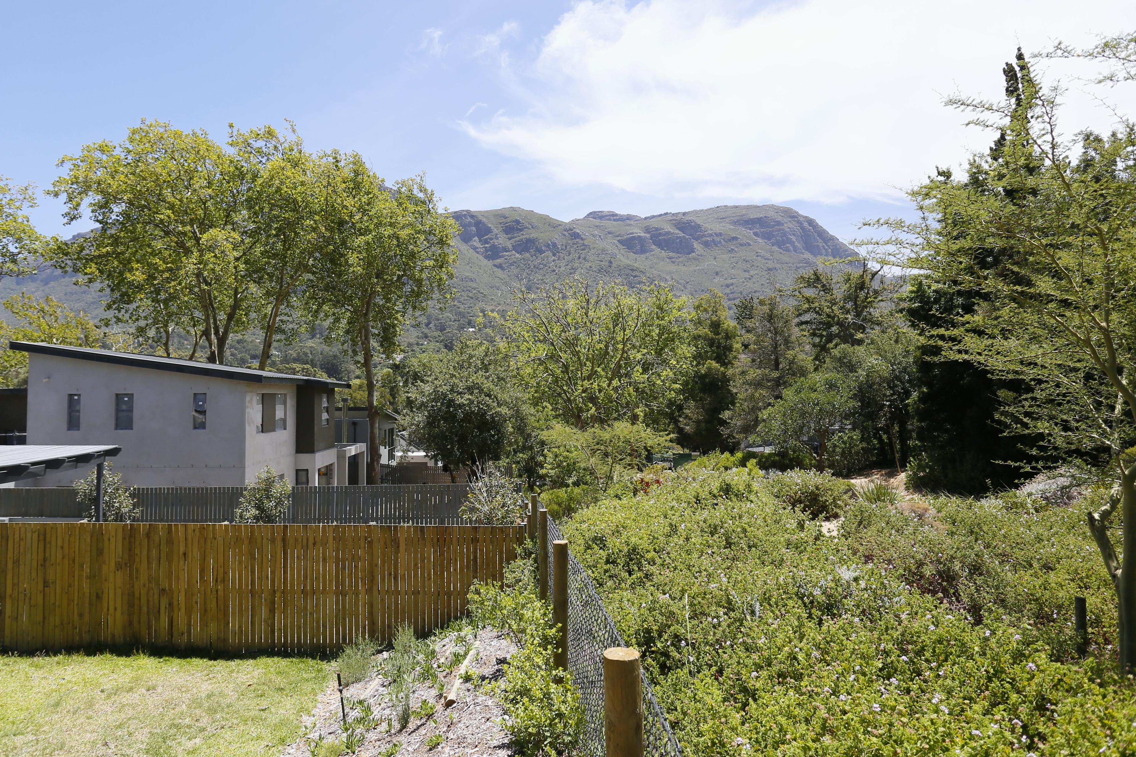 Image 25