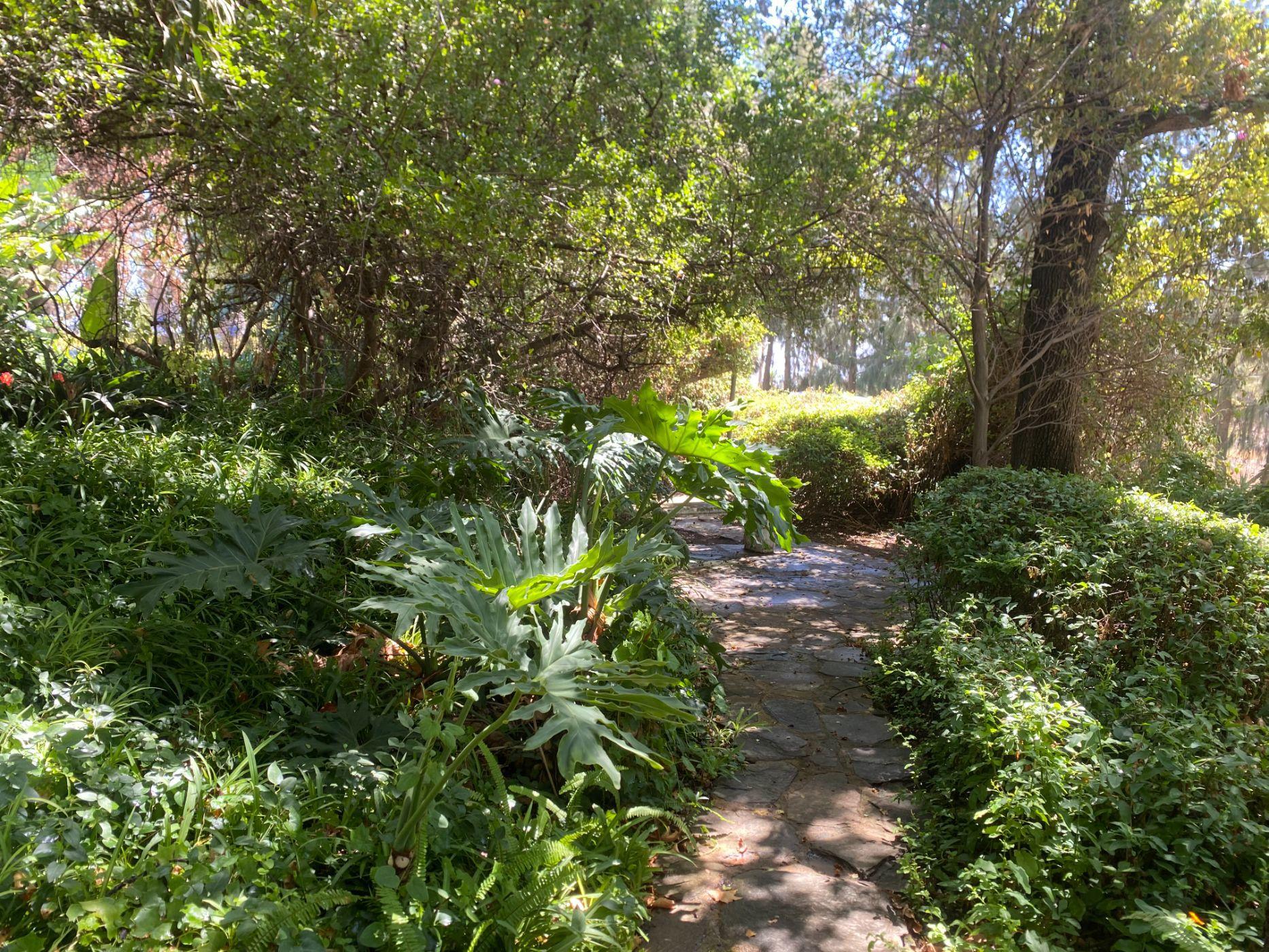 Image 4 of 6