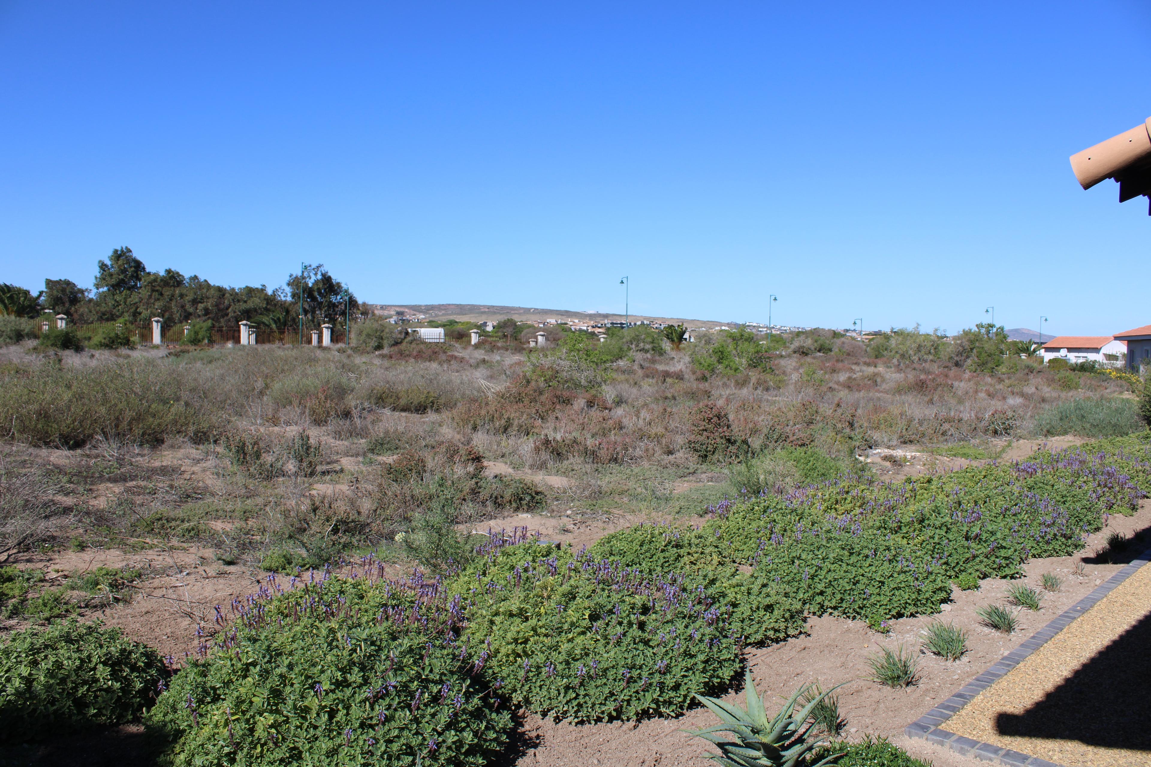 Image 38