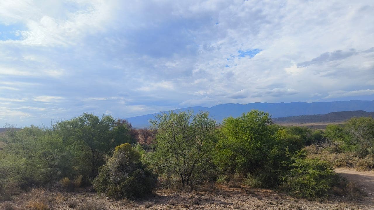 Image 2 of 6