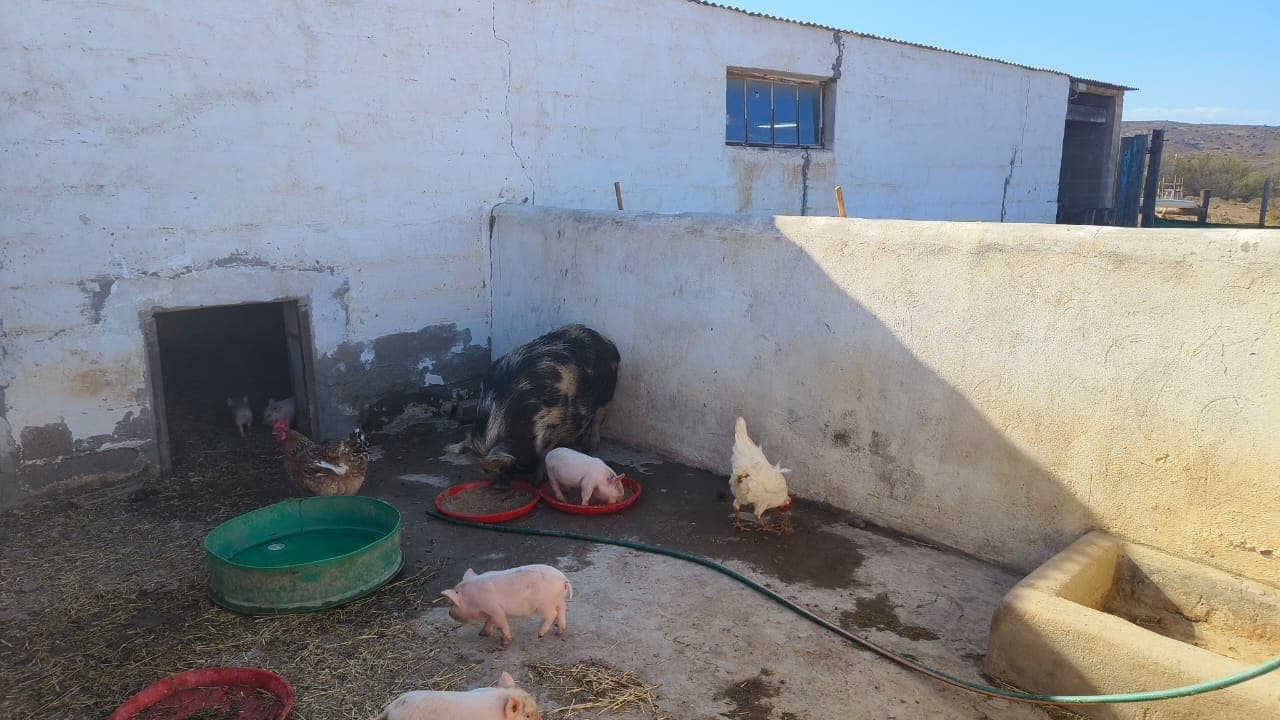 Image 2 of 6
