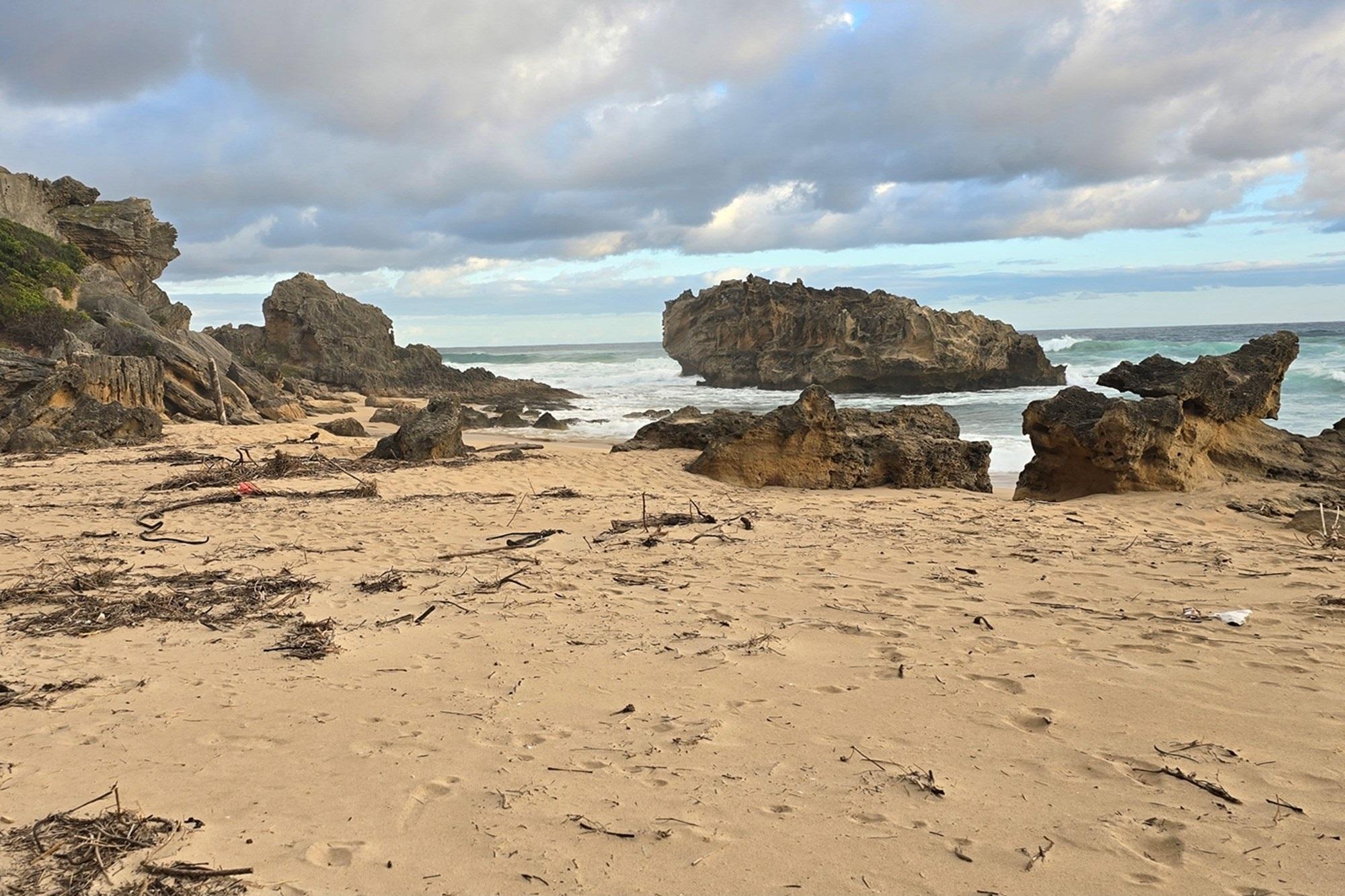 Image 12