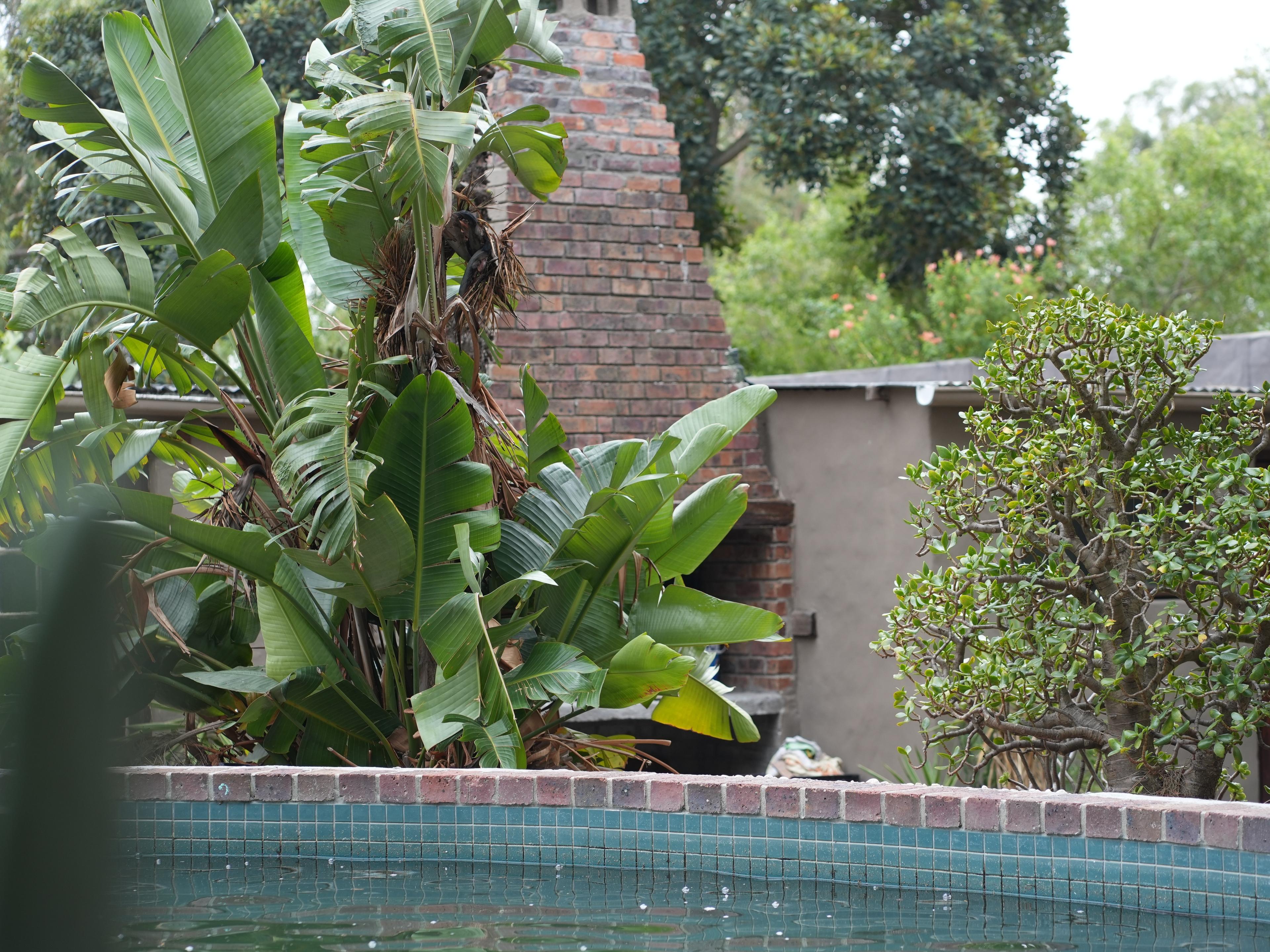 Image 32