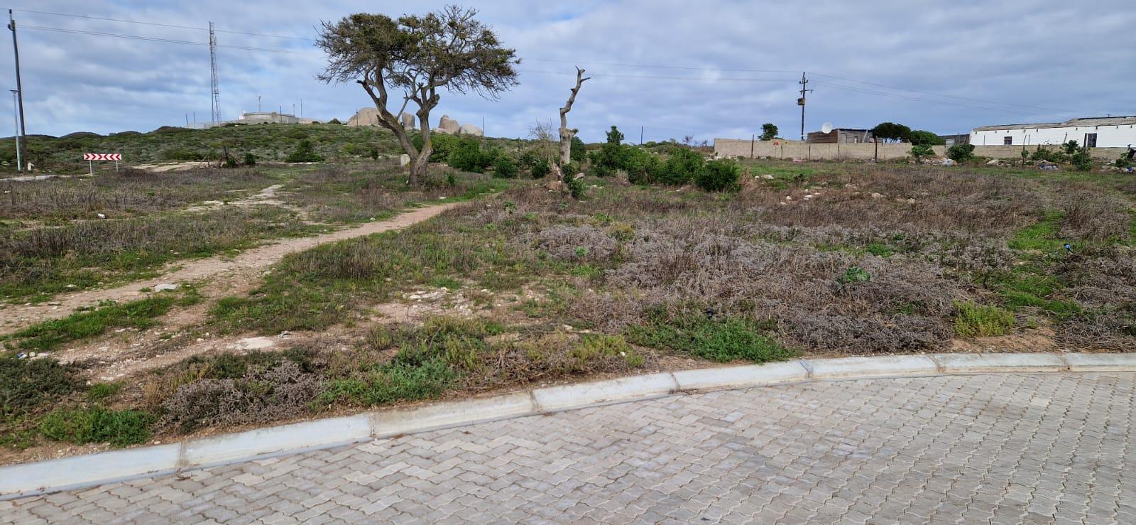 Image 10