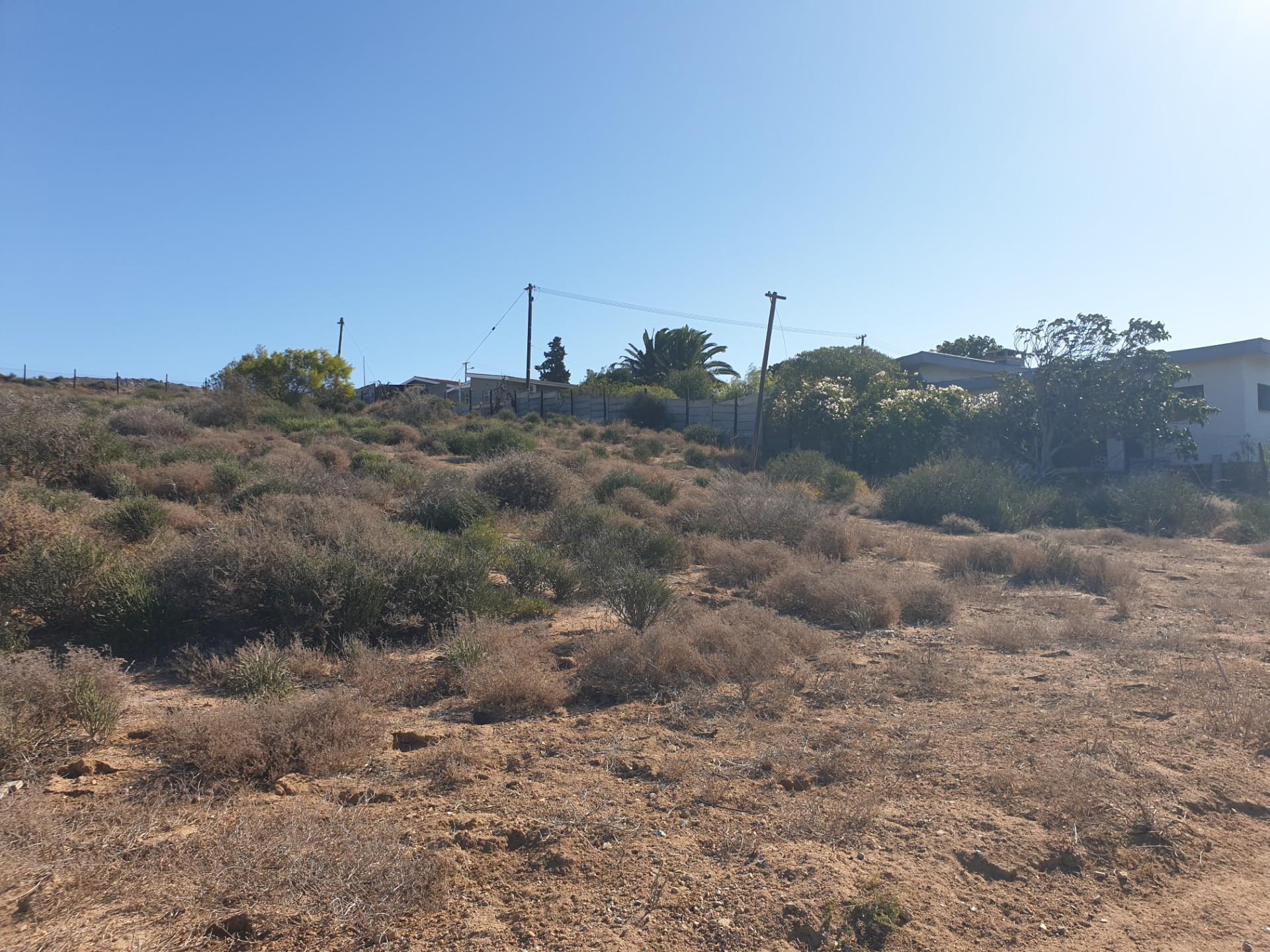 Image 15
