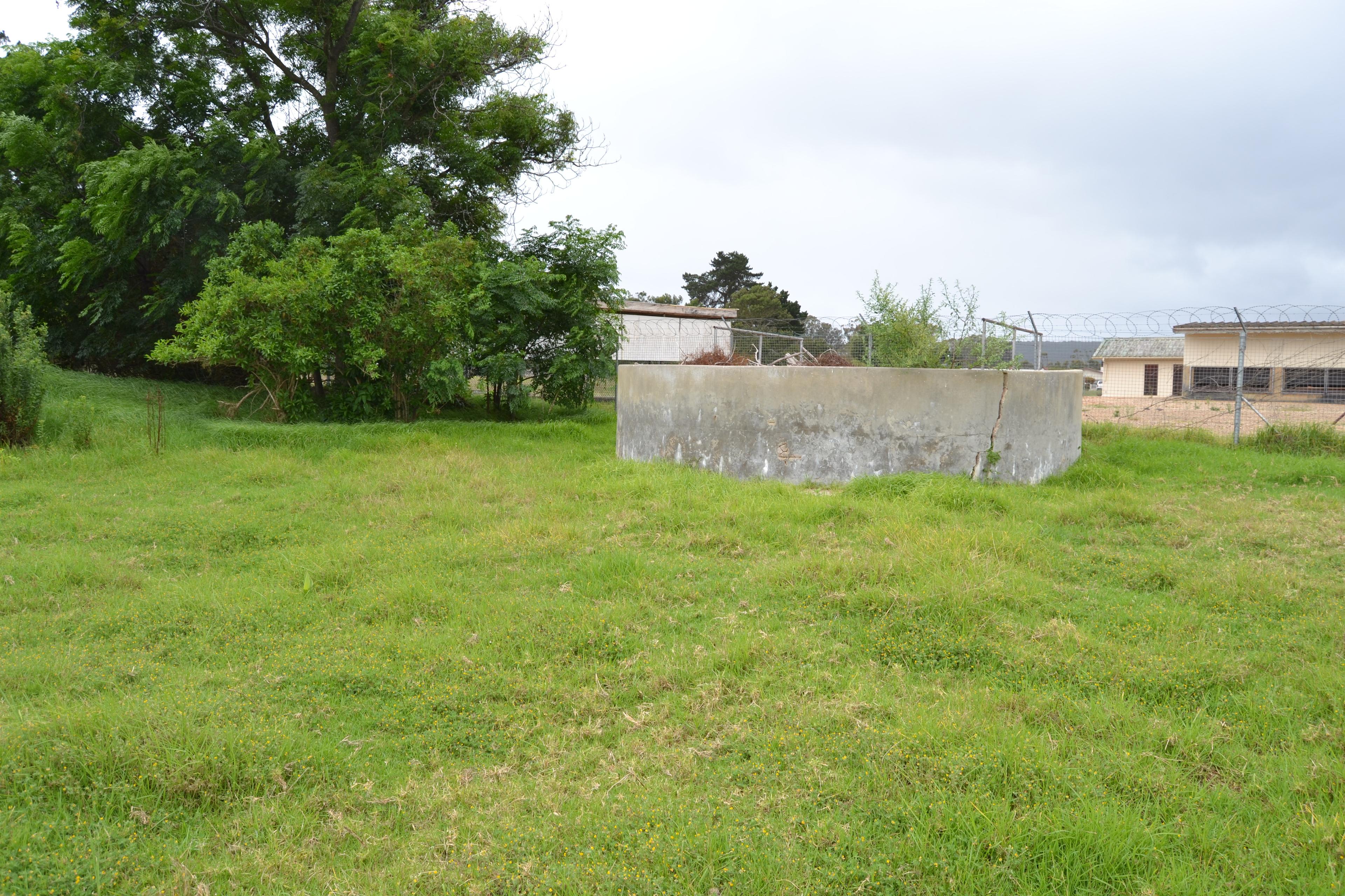 Image 10