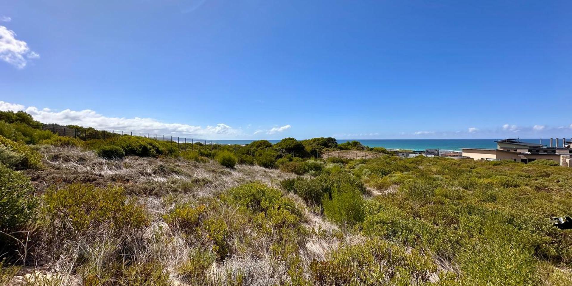 Image 4 of 6