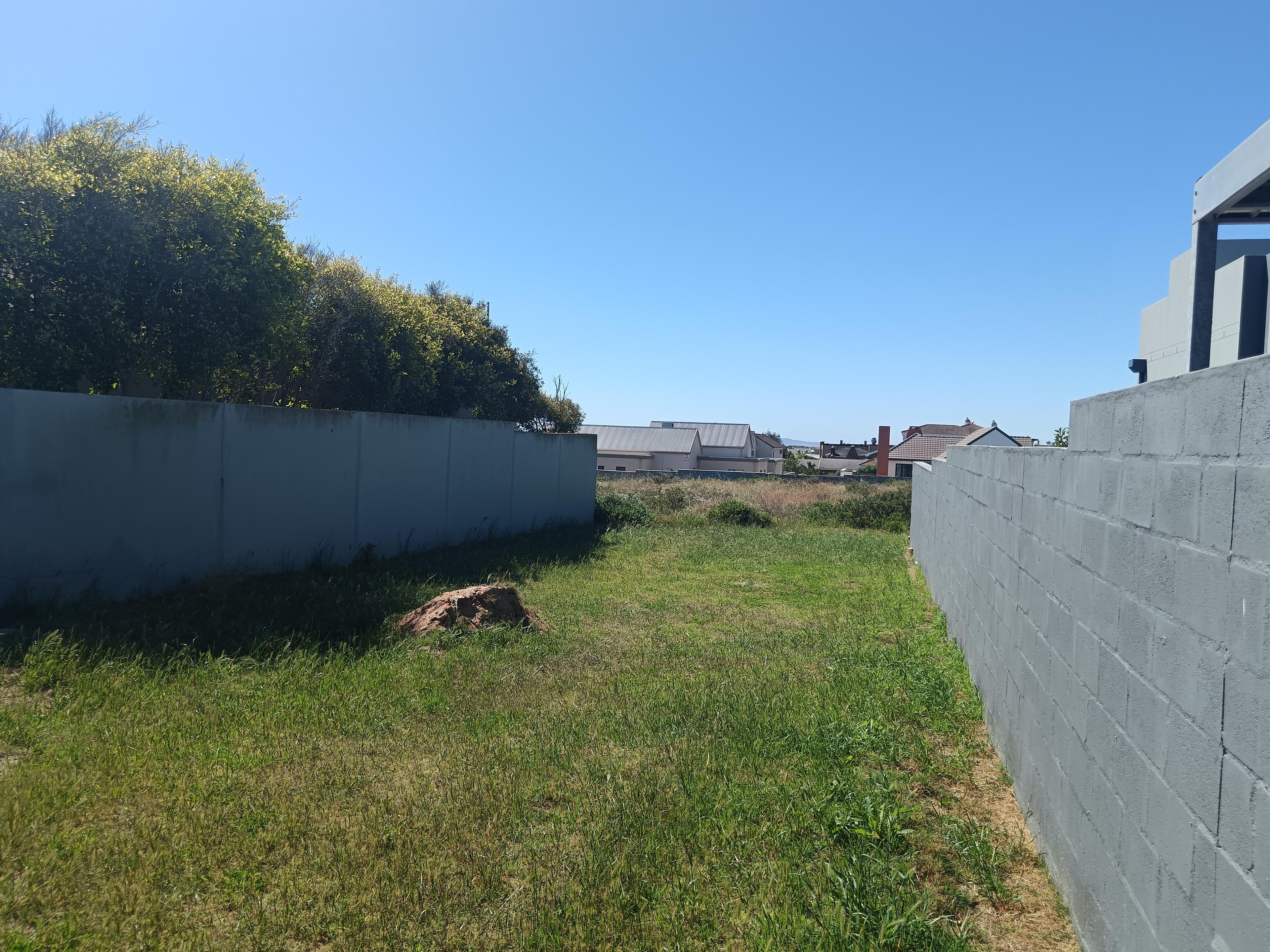 Image 5 of 6