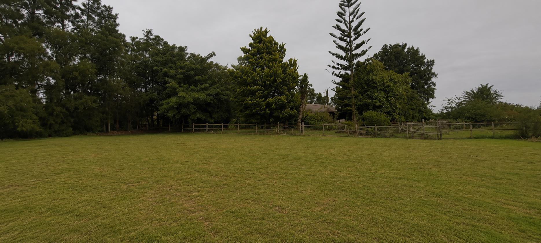 Image 37