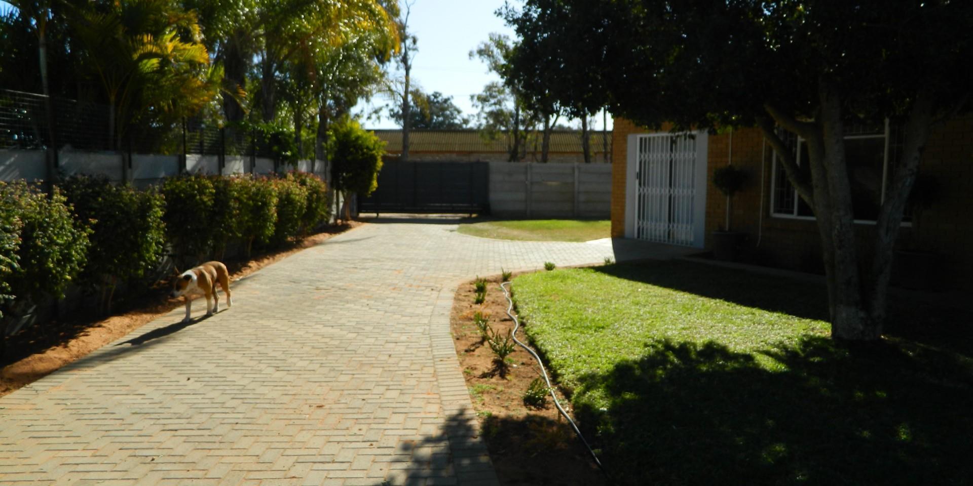Image 2 of 6