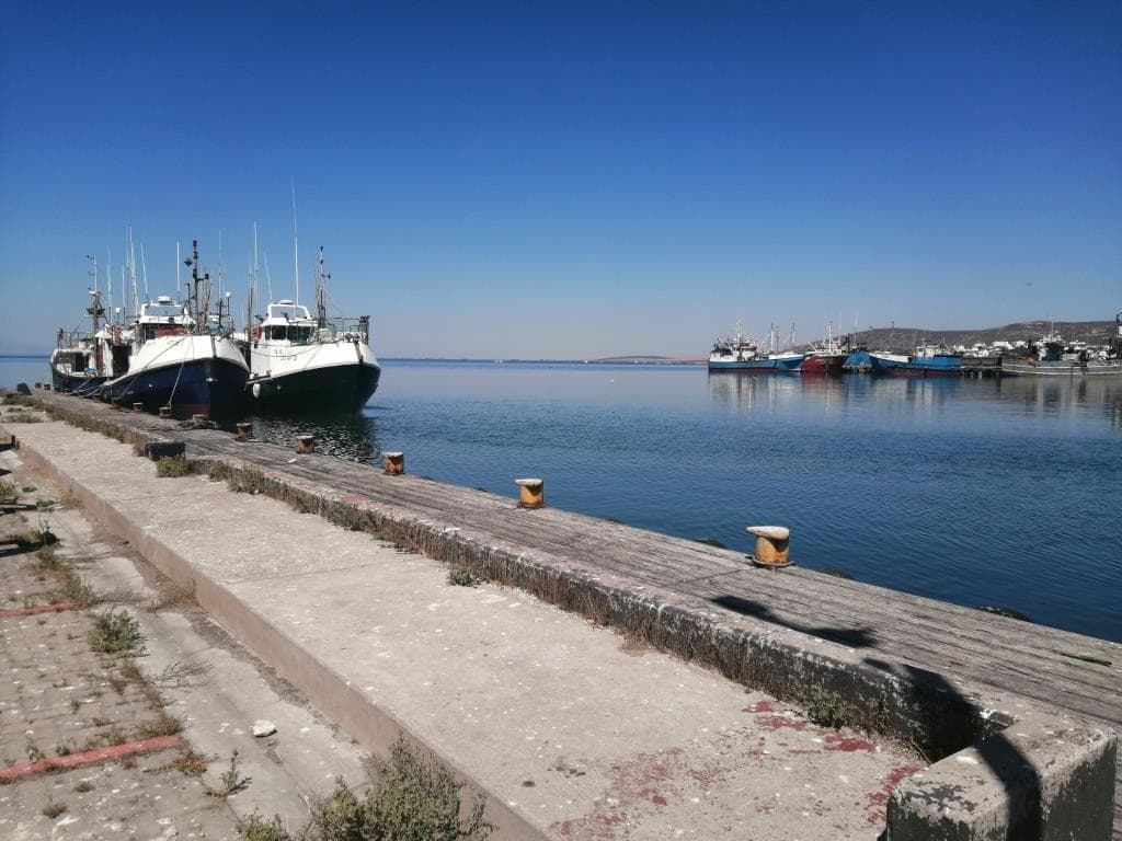 Image 8
