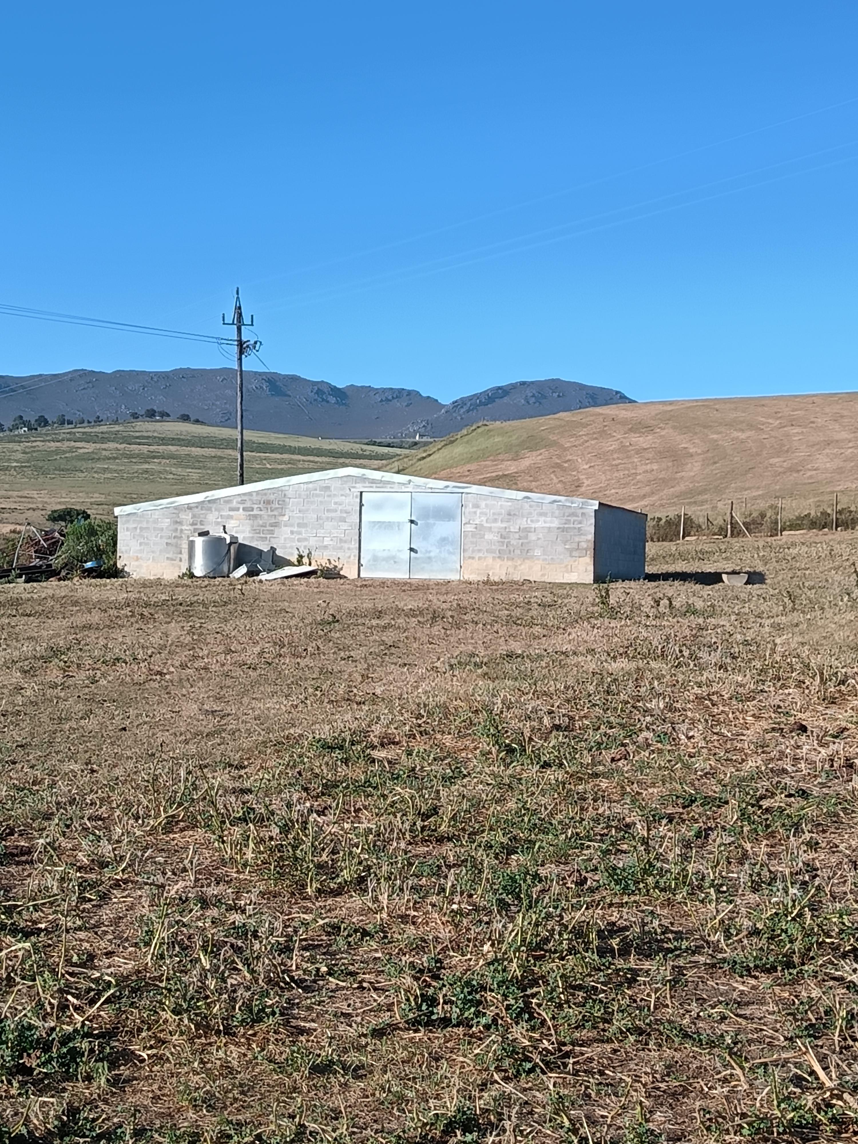 Image 5 of 6