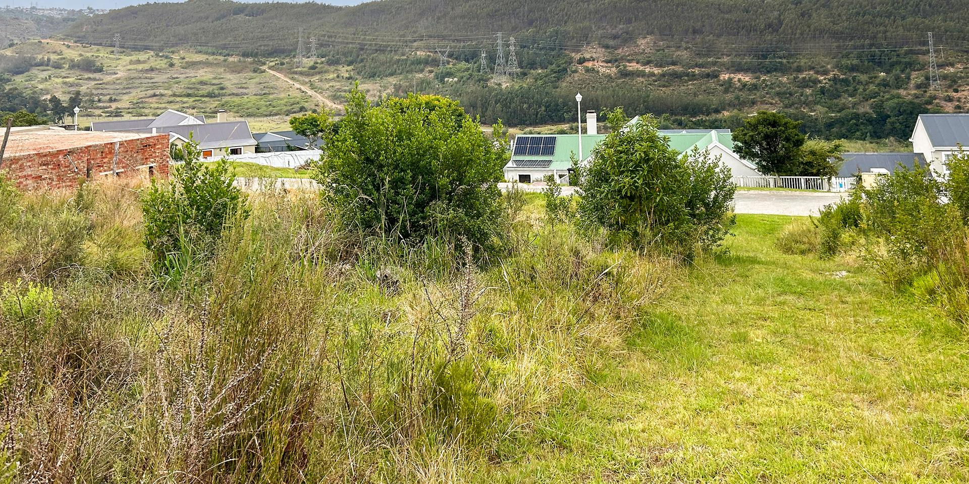 Image 2 of 6