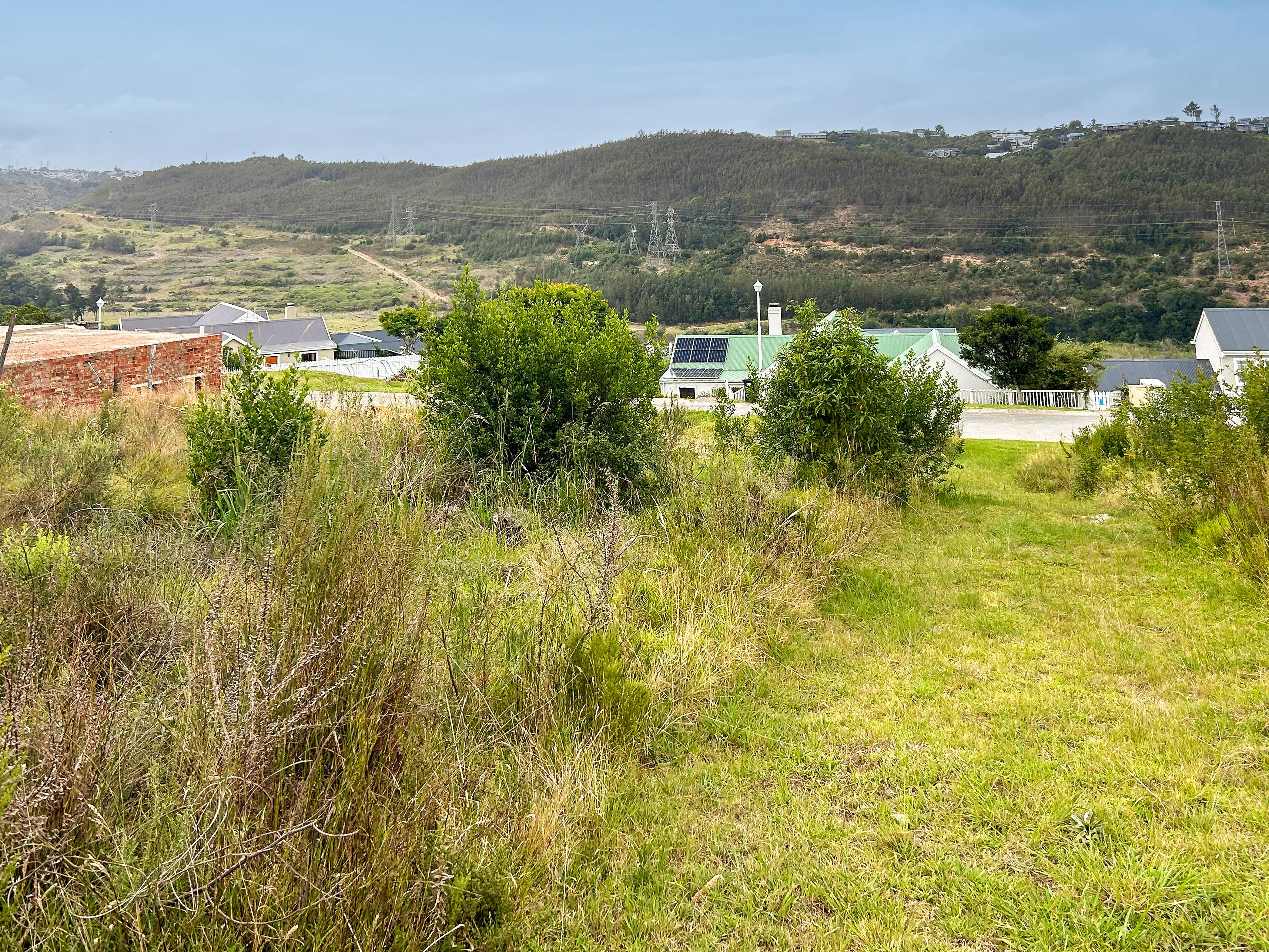 Image 2 of 6