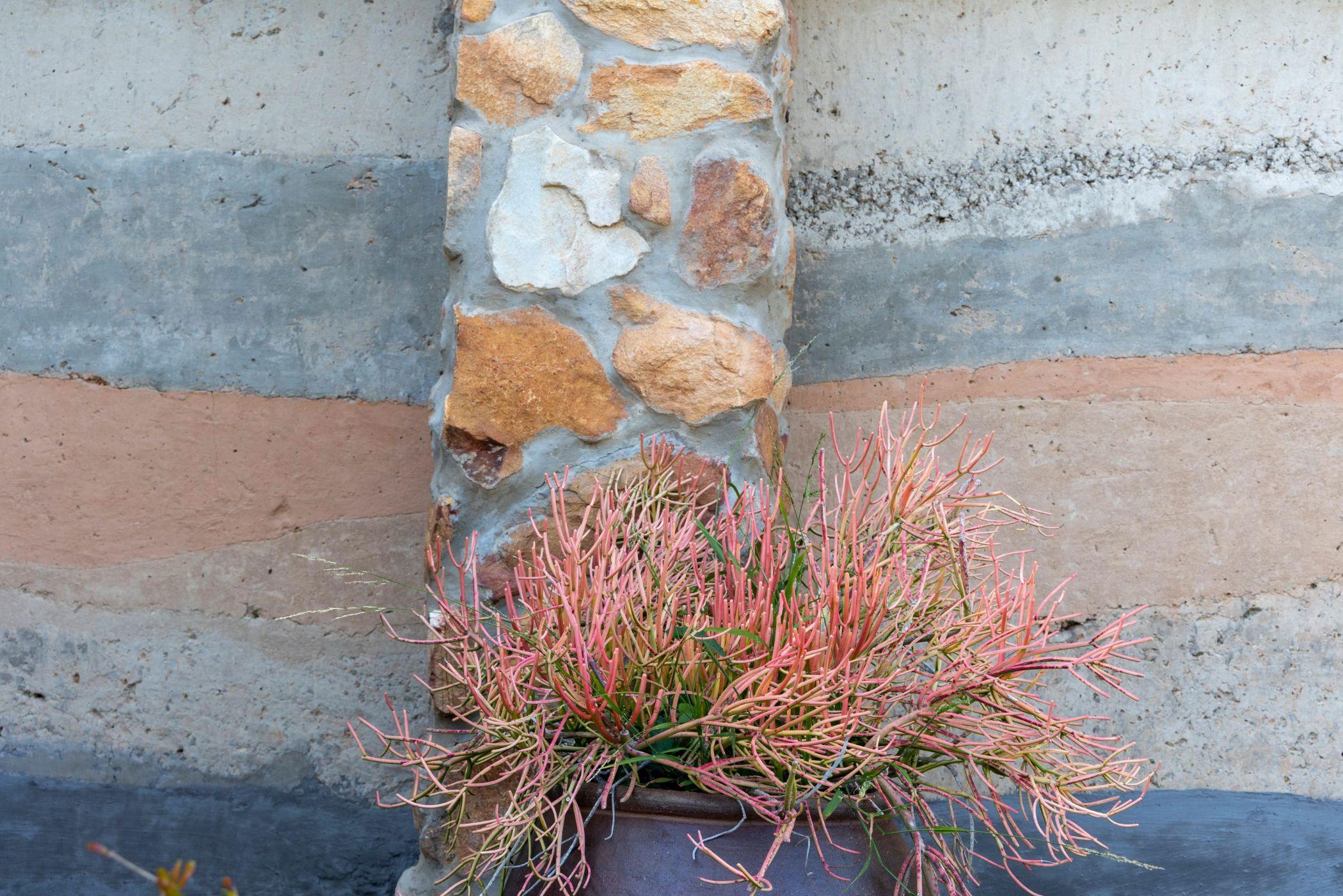 Image 36