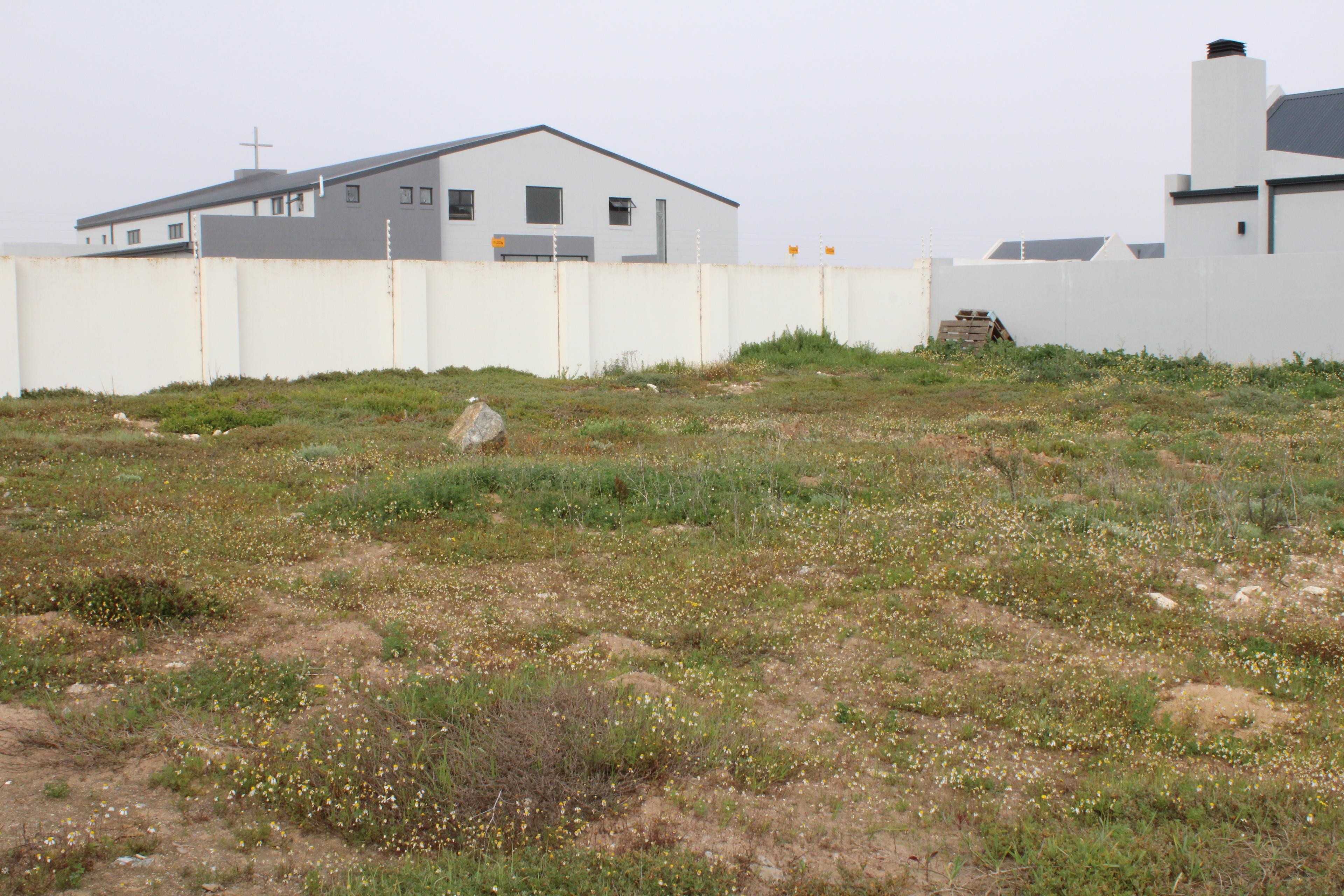 Image 12