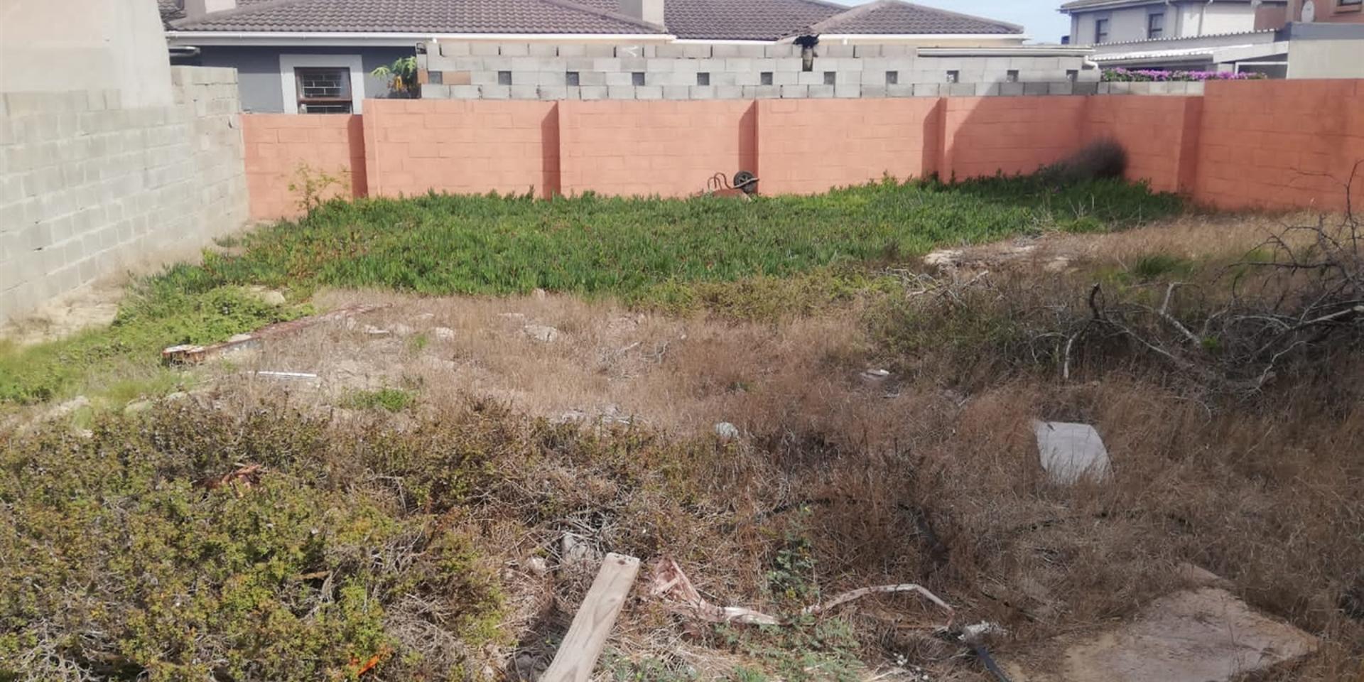 Image 4 of 6