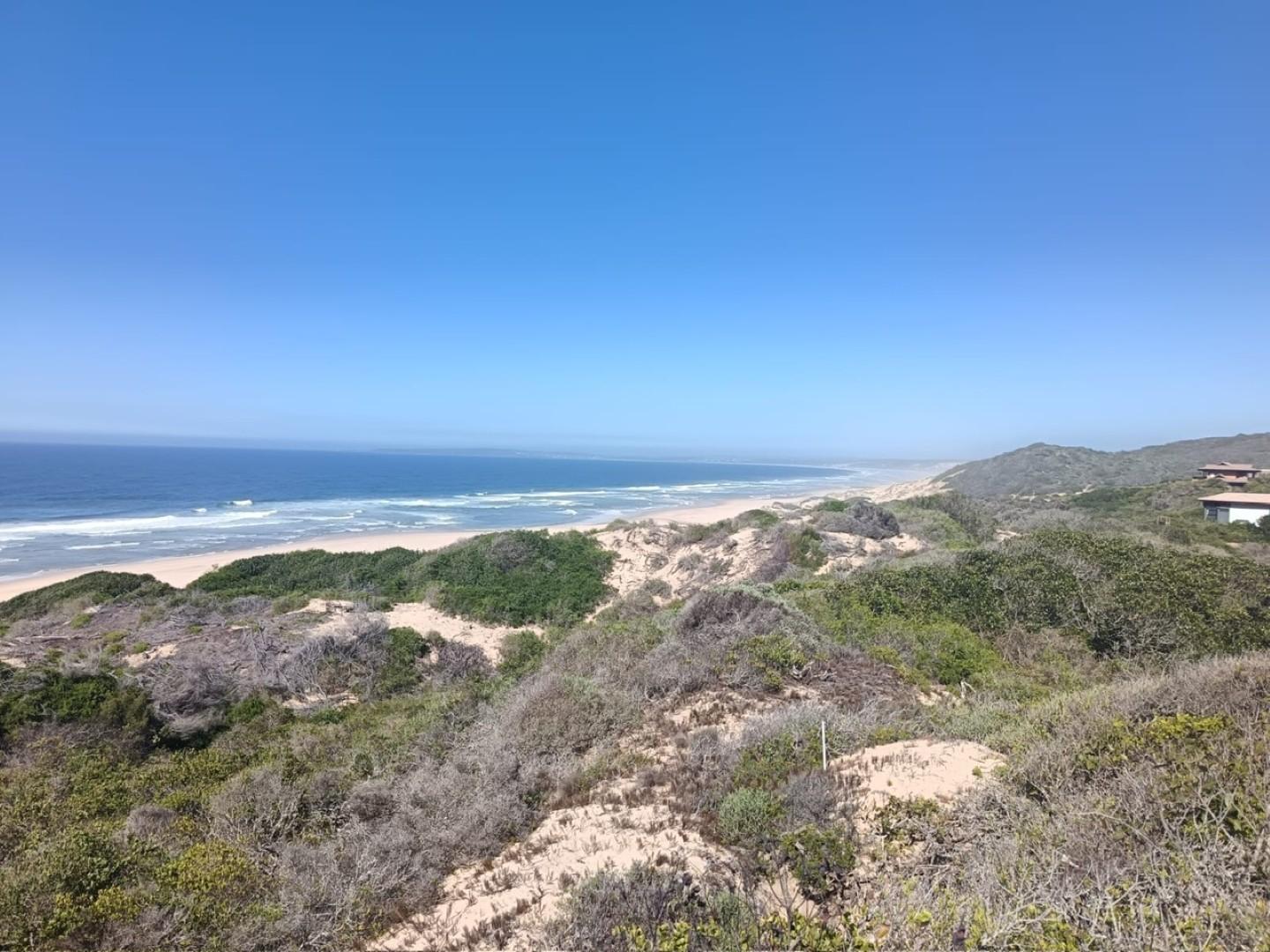 Image 2 of 6