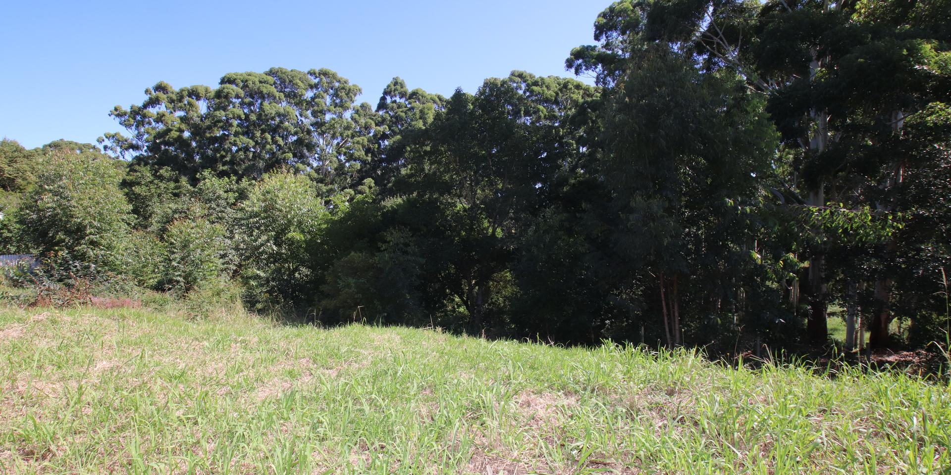 Image 4 of 6