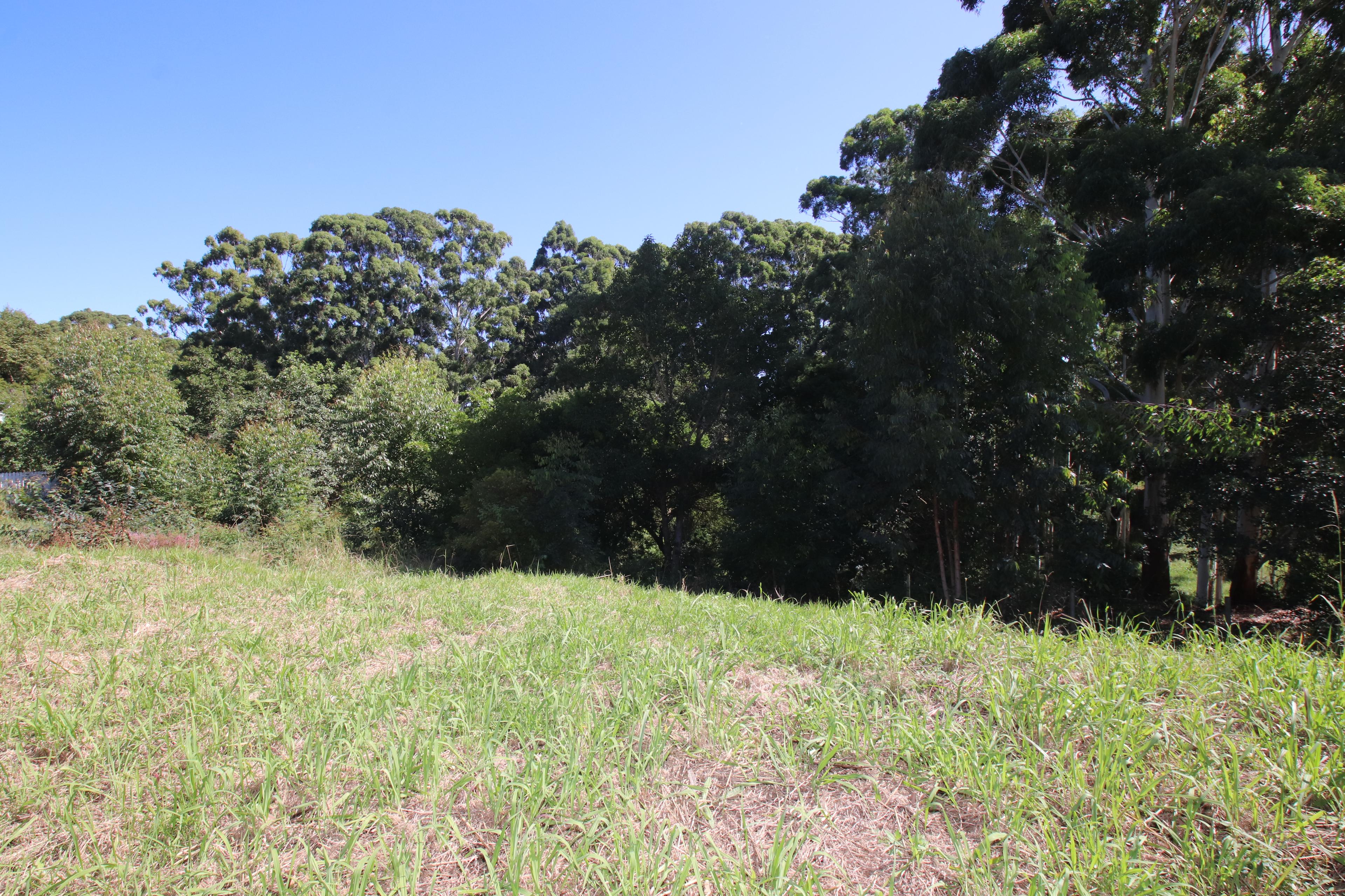 Image 4 of 6