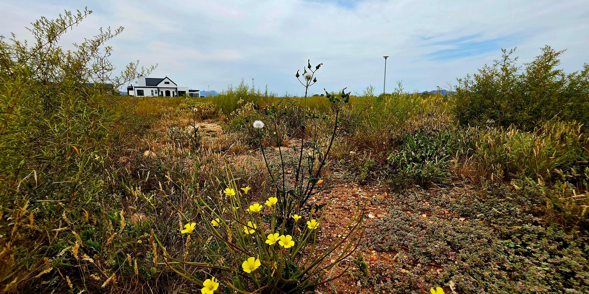 Image 4 of 6