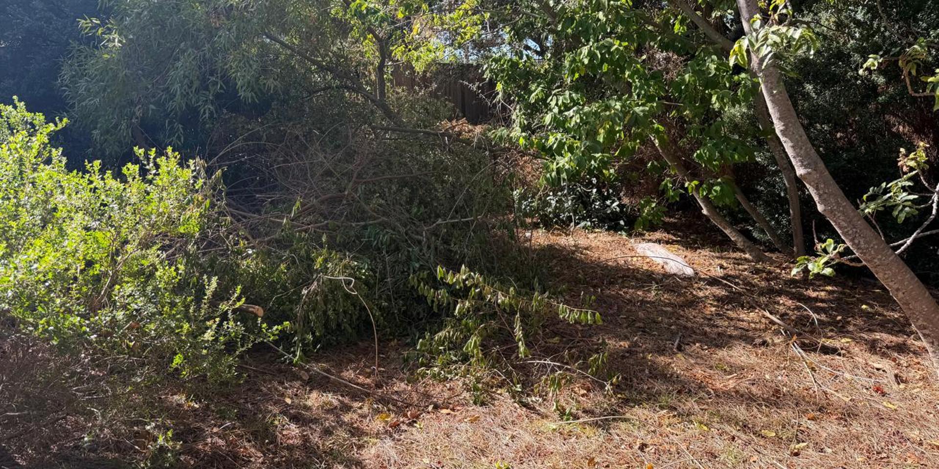 Image 2 of 6
