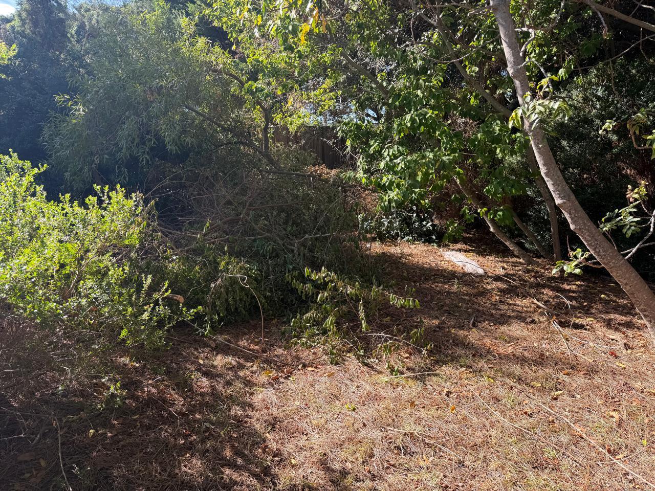 Image 2 of 6