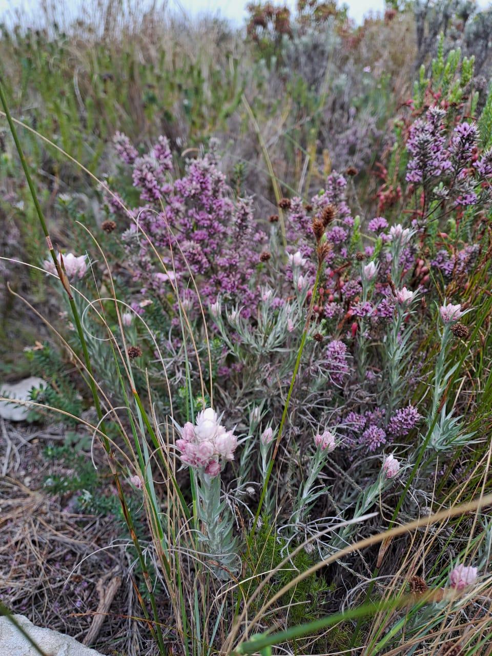 Image 14