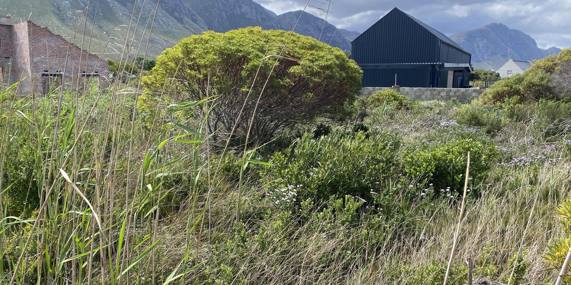 Image 4 of 6
