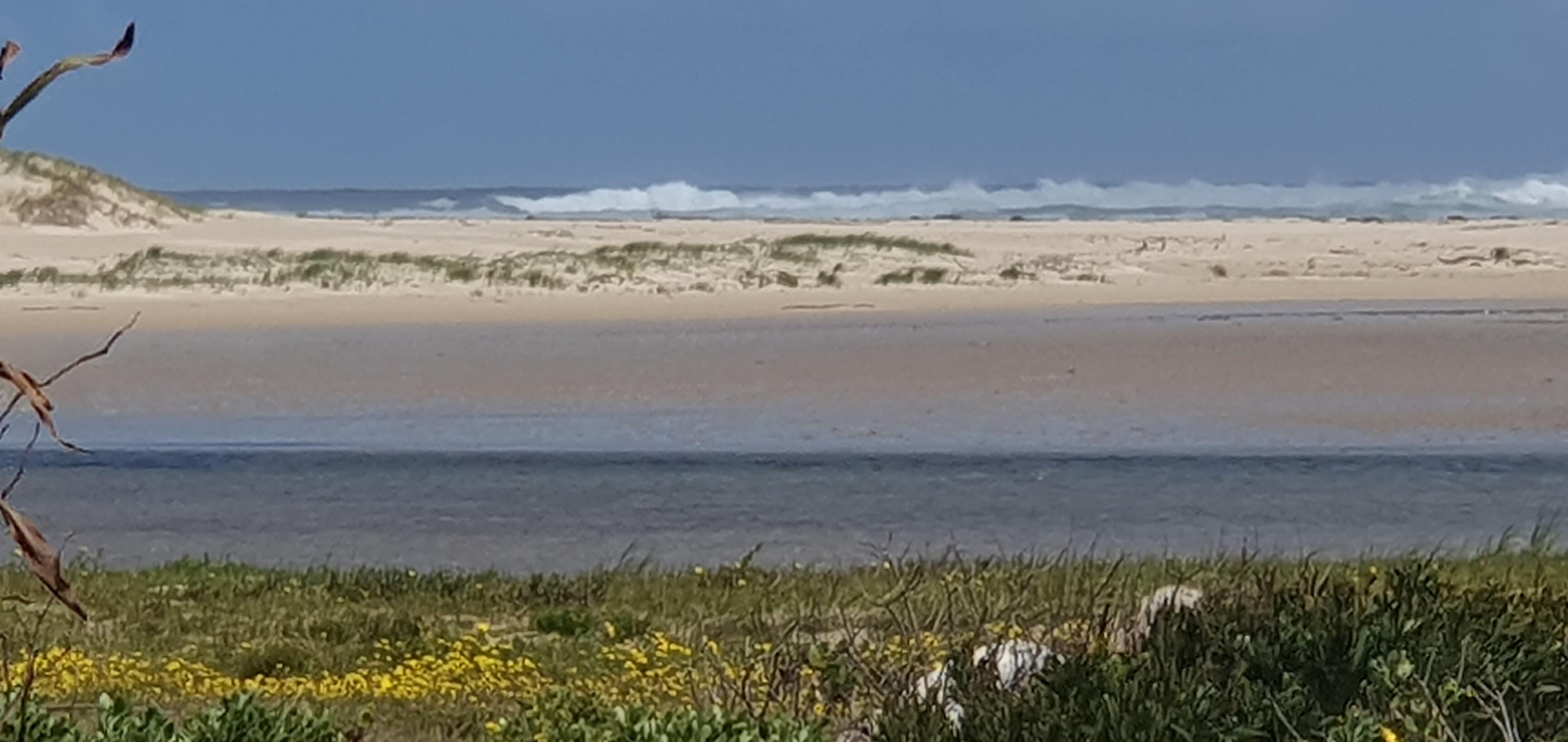 Image 14