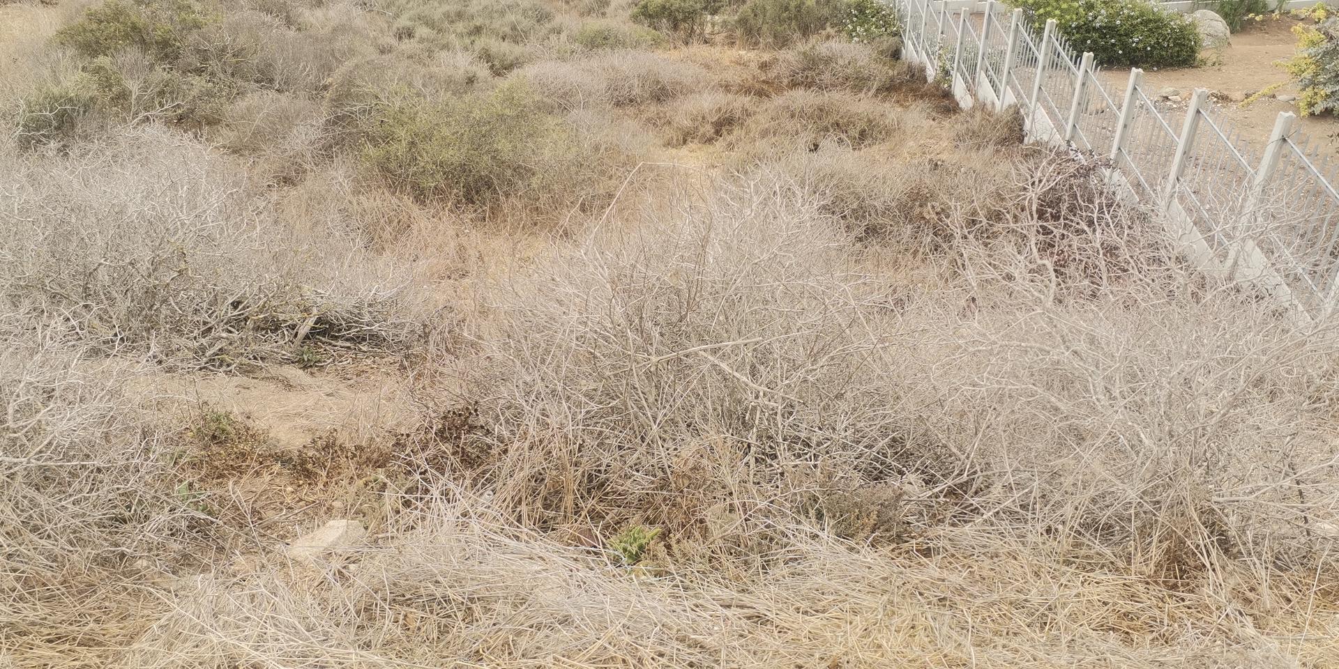 Image 3 of 6