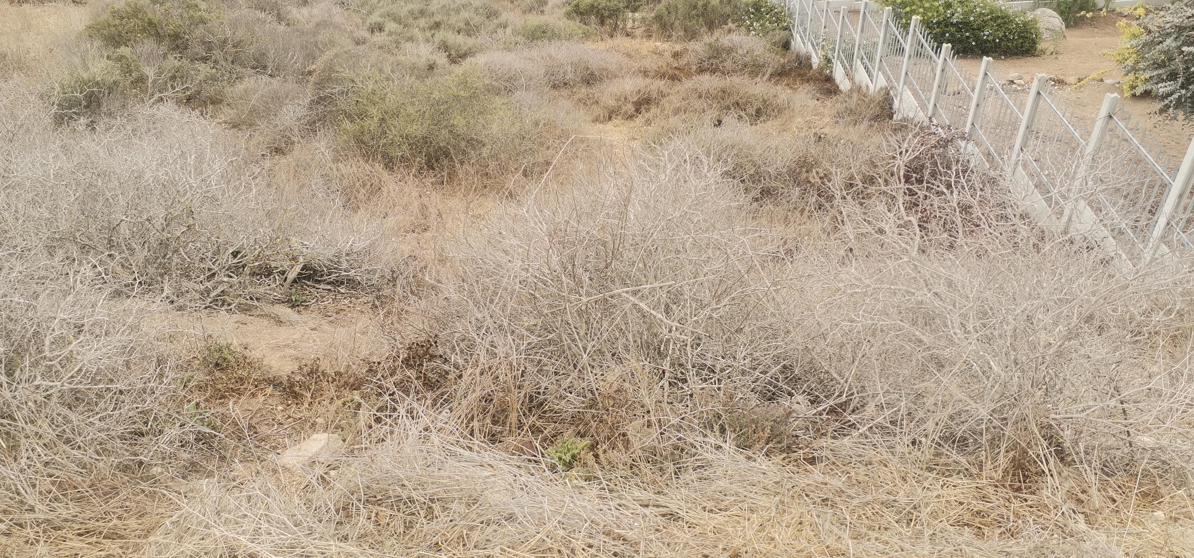 Image 3 of 6