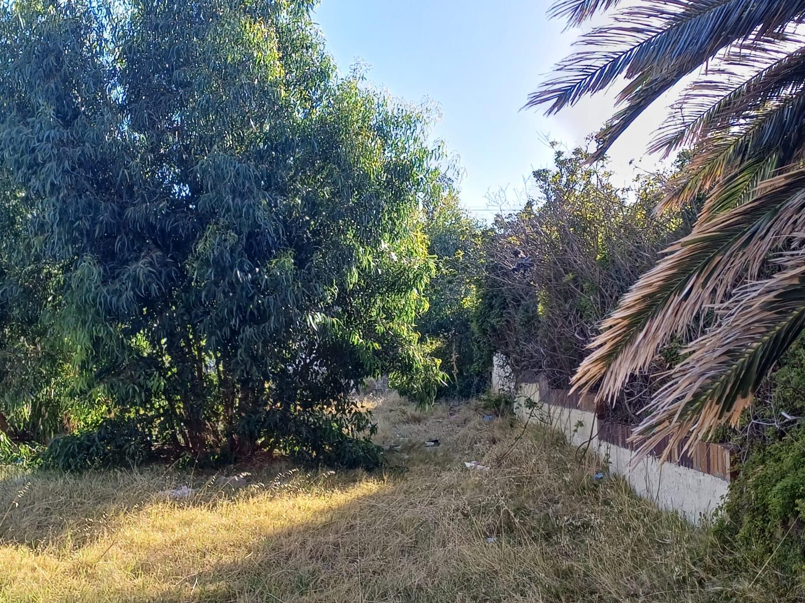 Image 12