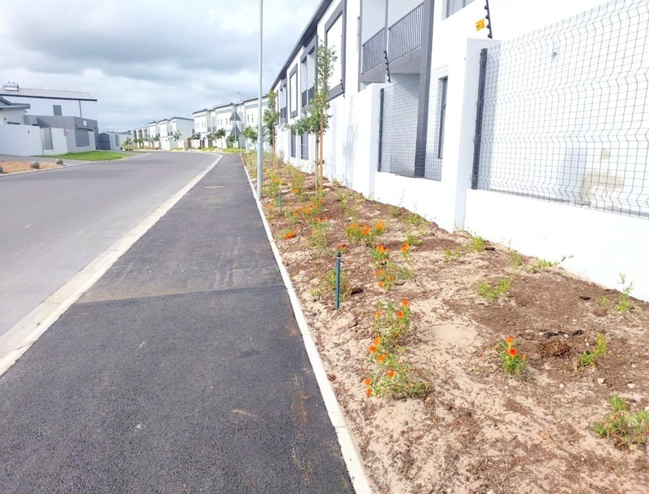 Image 15