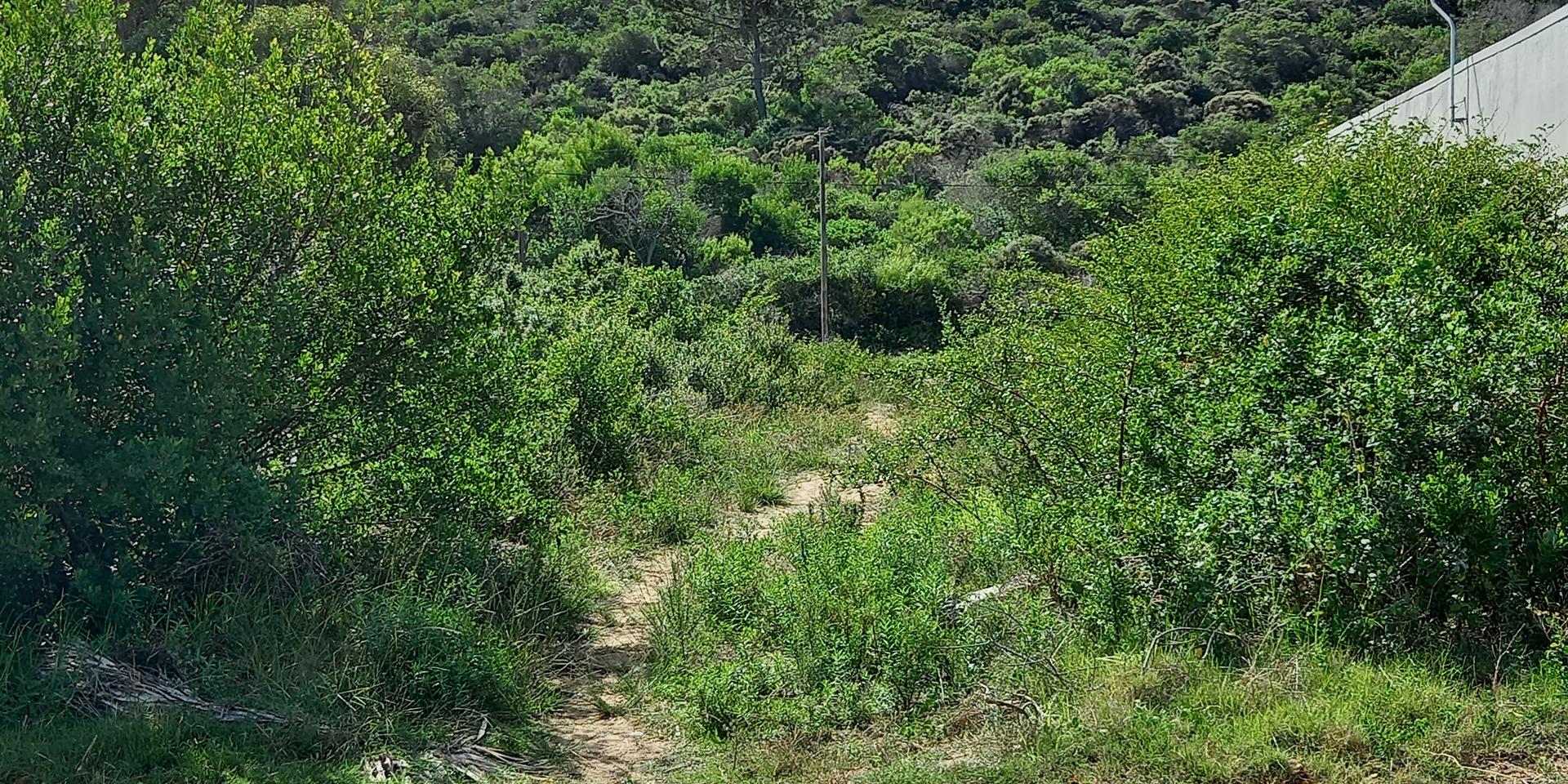 Image 3 of 6